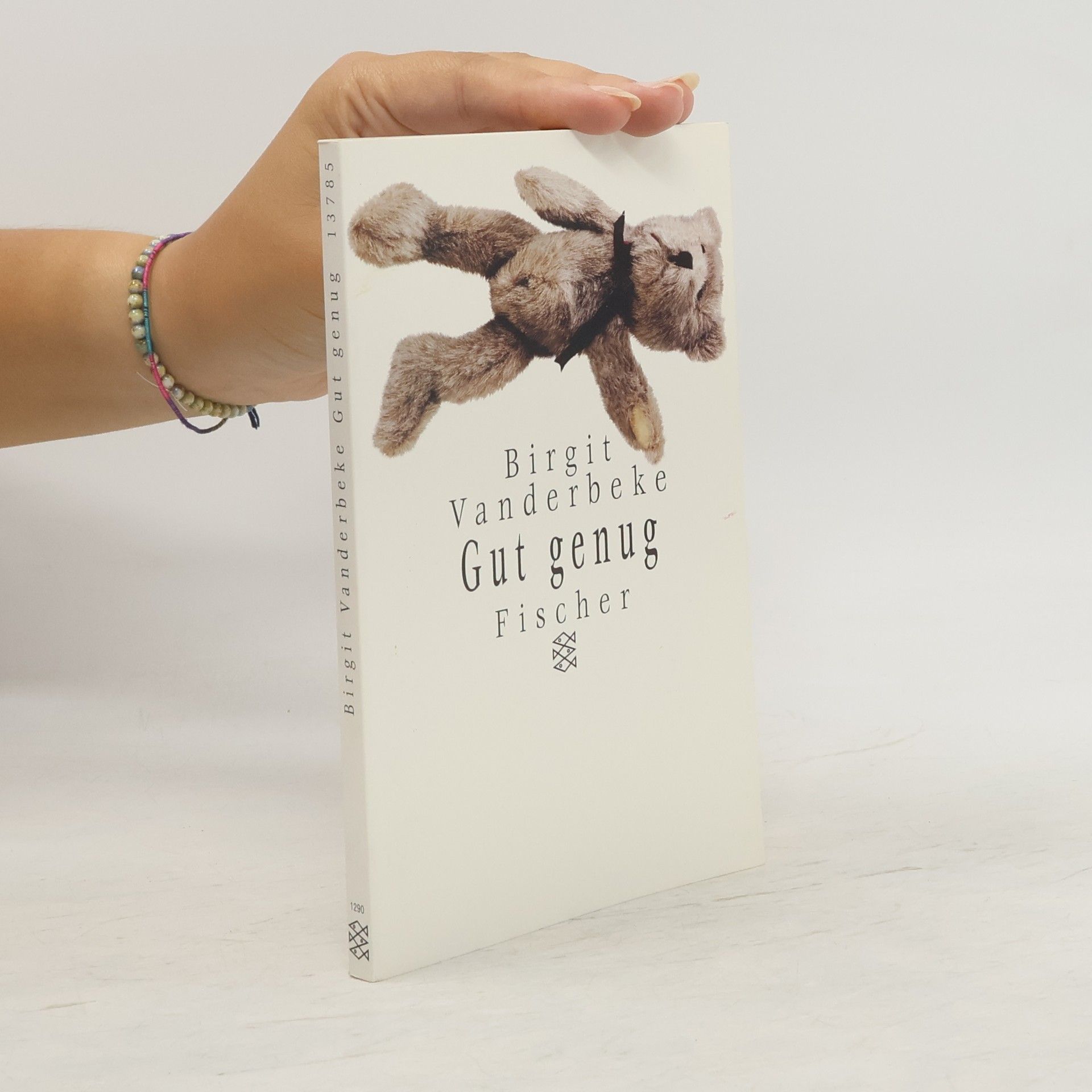 Birgit Vanderbeke Gut genug