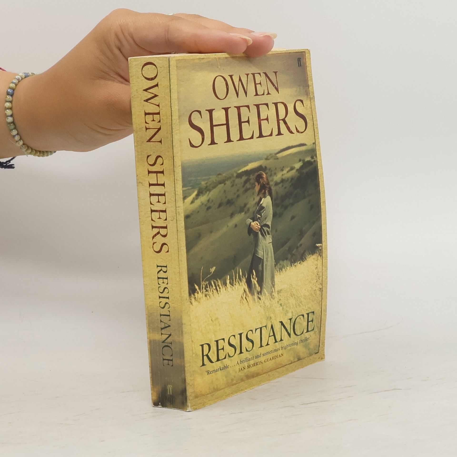 Owen Sheers Resistance