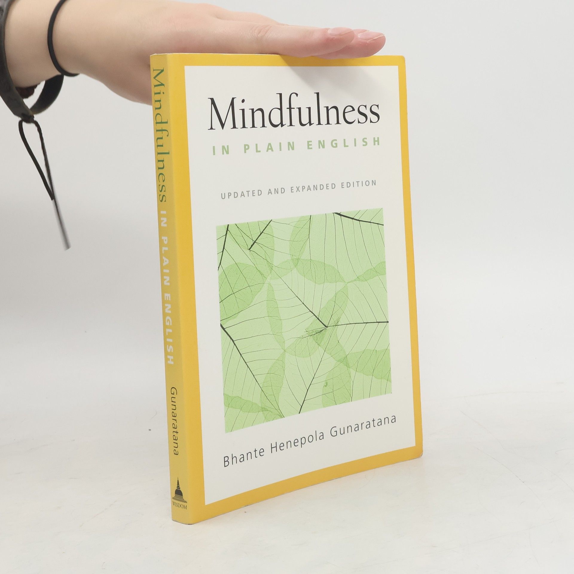 Henepola Gunaratana Mindfulness in Plain English