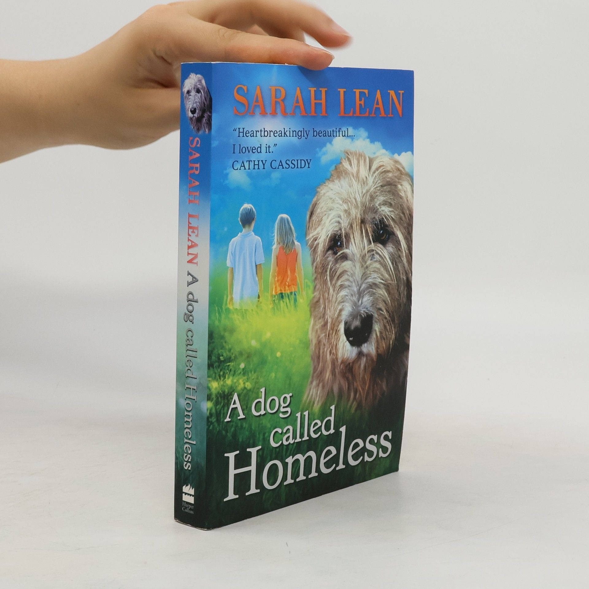 Sarah Lean A Dog Called Homeless