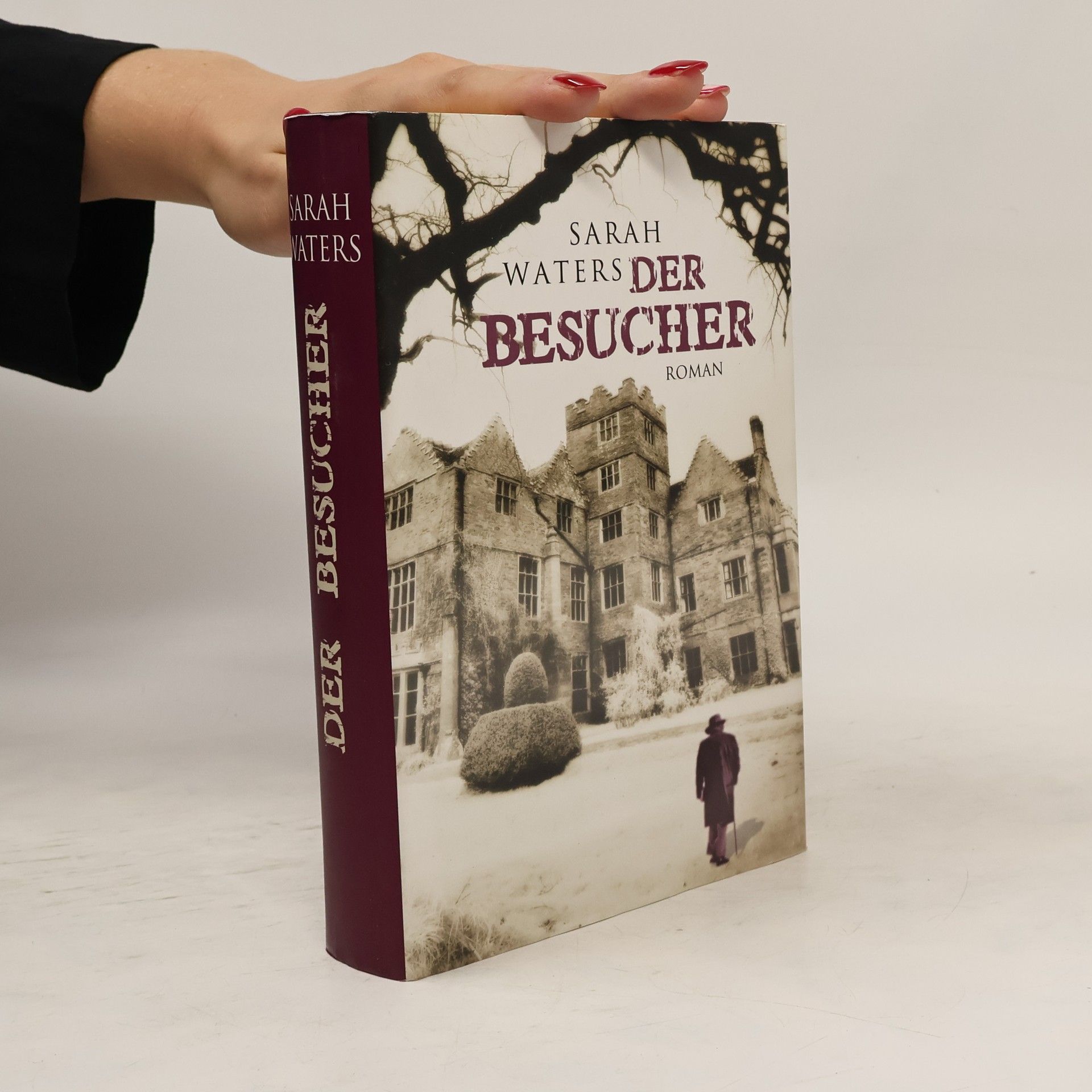 Sarah Waters Der Besucher