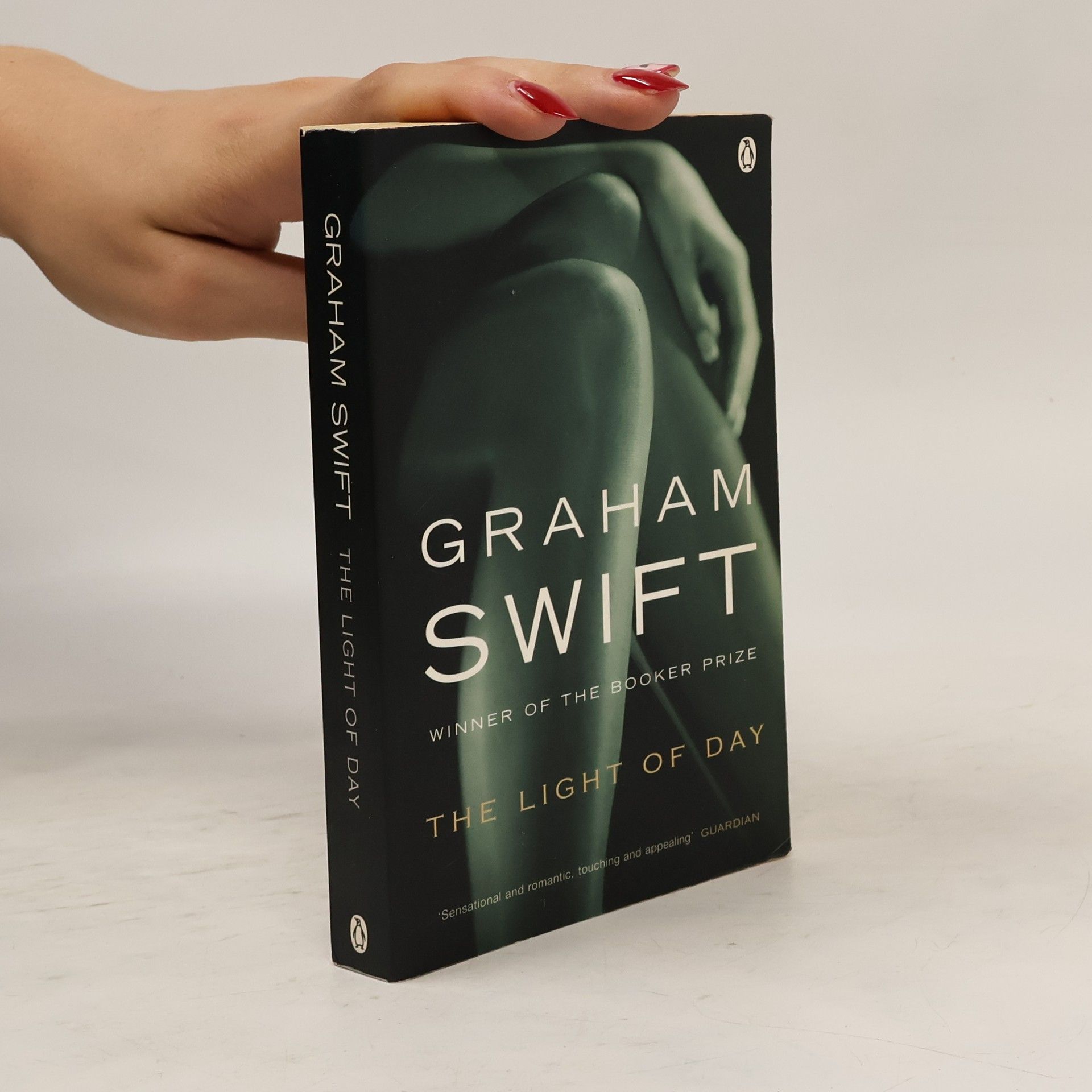 Graham Swift The Light of Day
