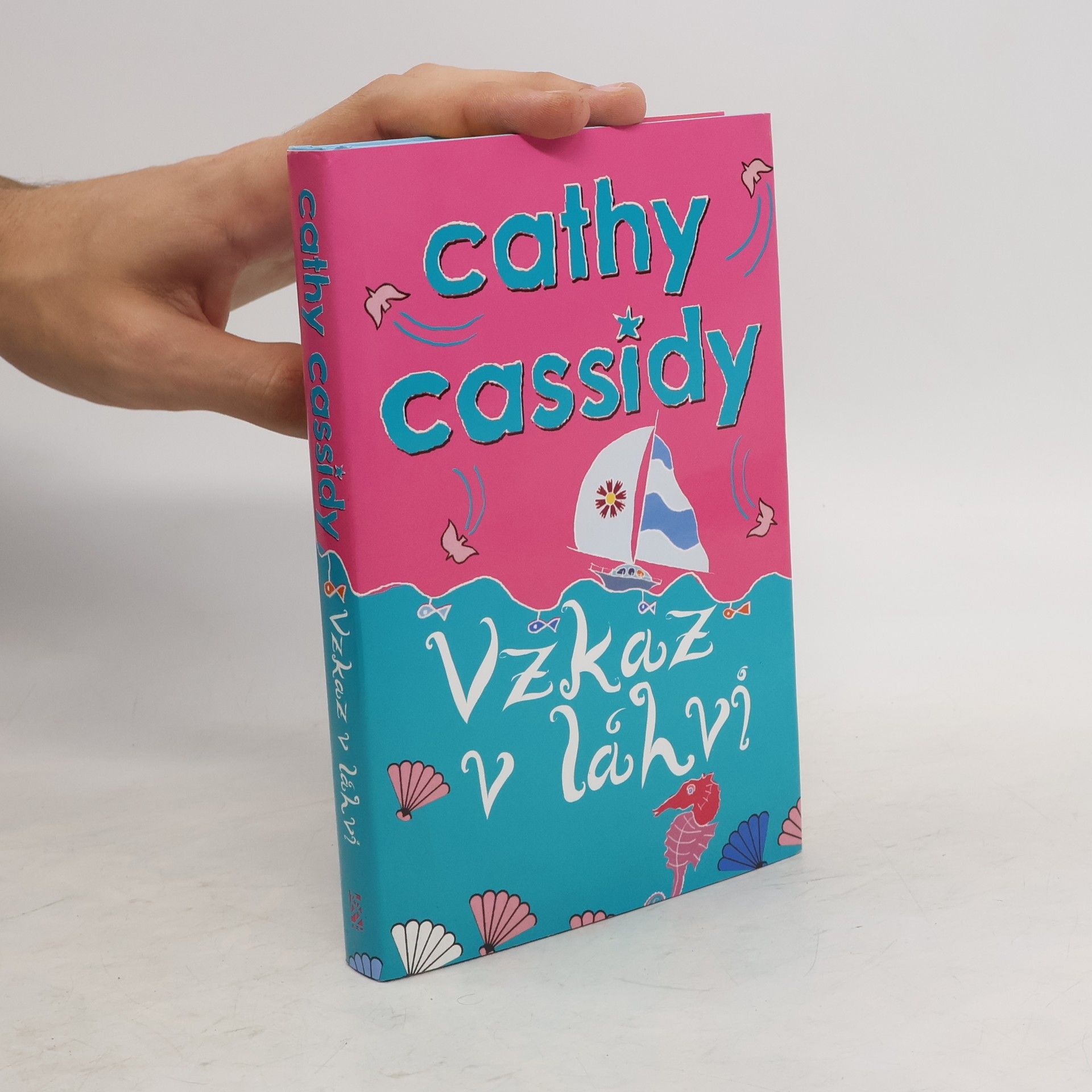 Cathy Cassidy Vzkaz v láhvi