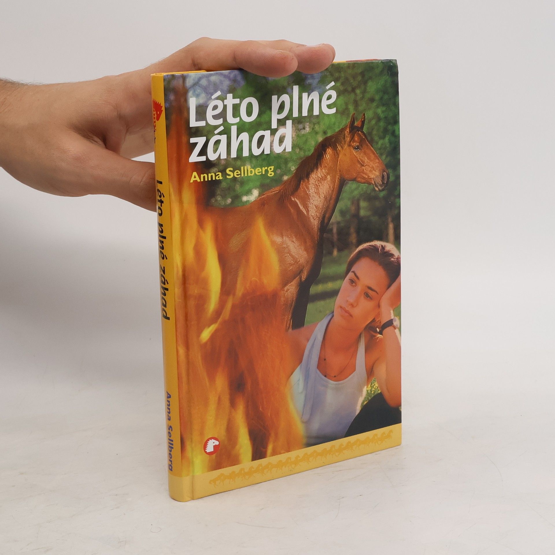 Anna Sellberg Léto plné záhad