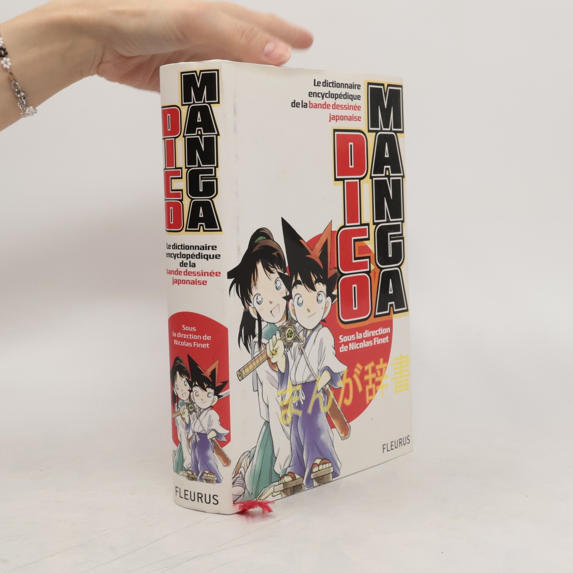 Nicolas Finet Dico Manga