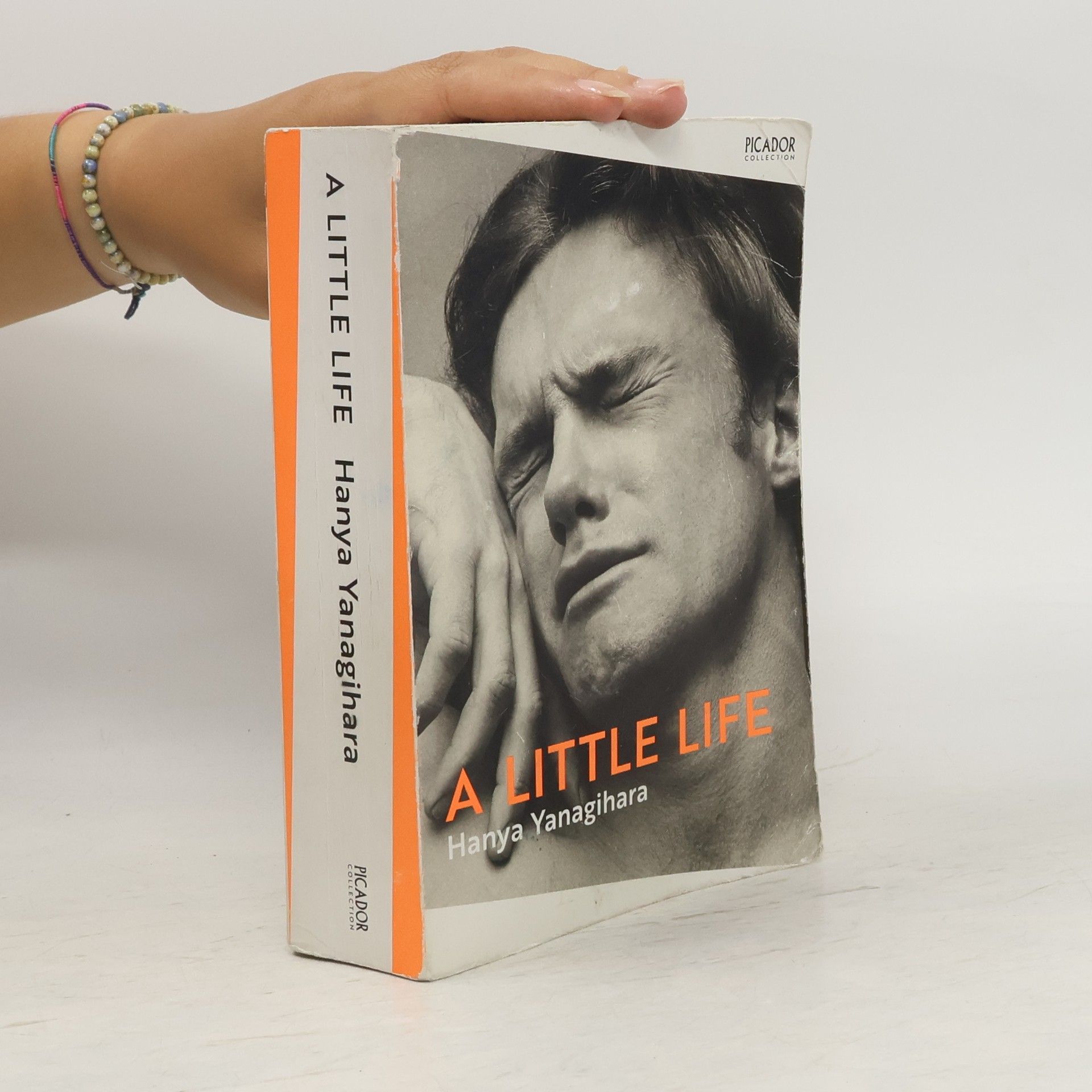 Hanya Yanagihara A Little Life