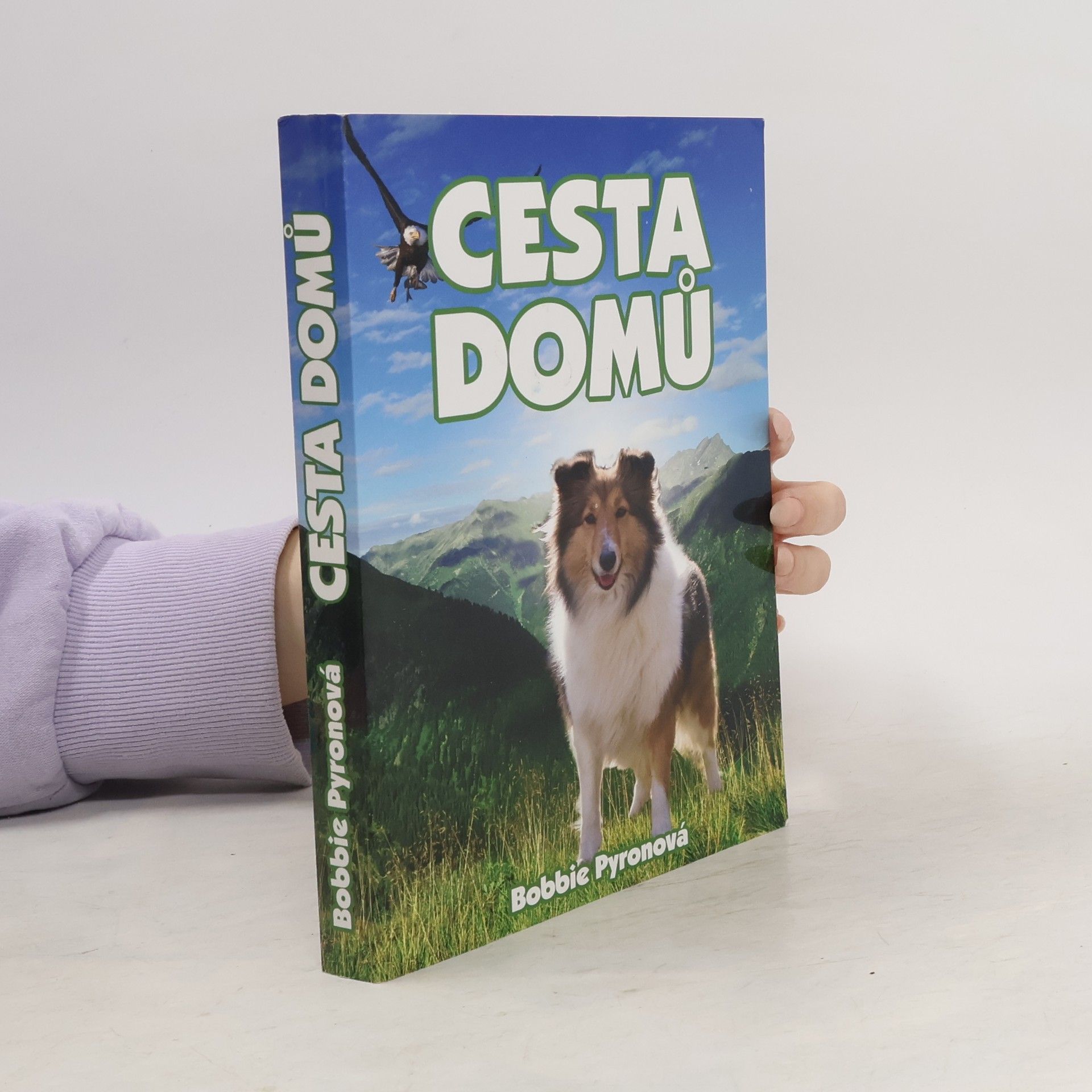 Bobbie Pyron Cesta domů