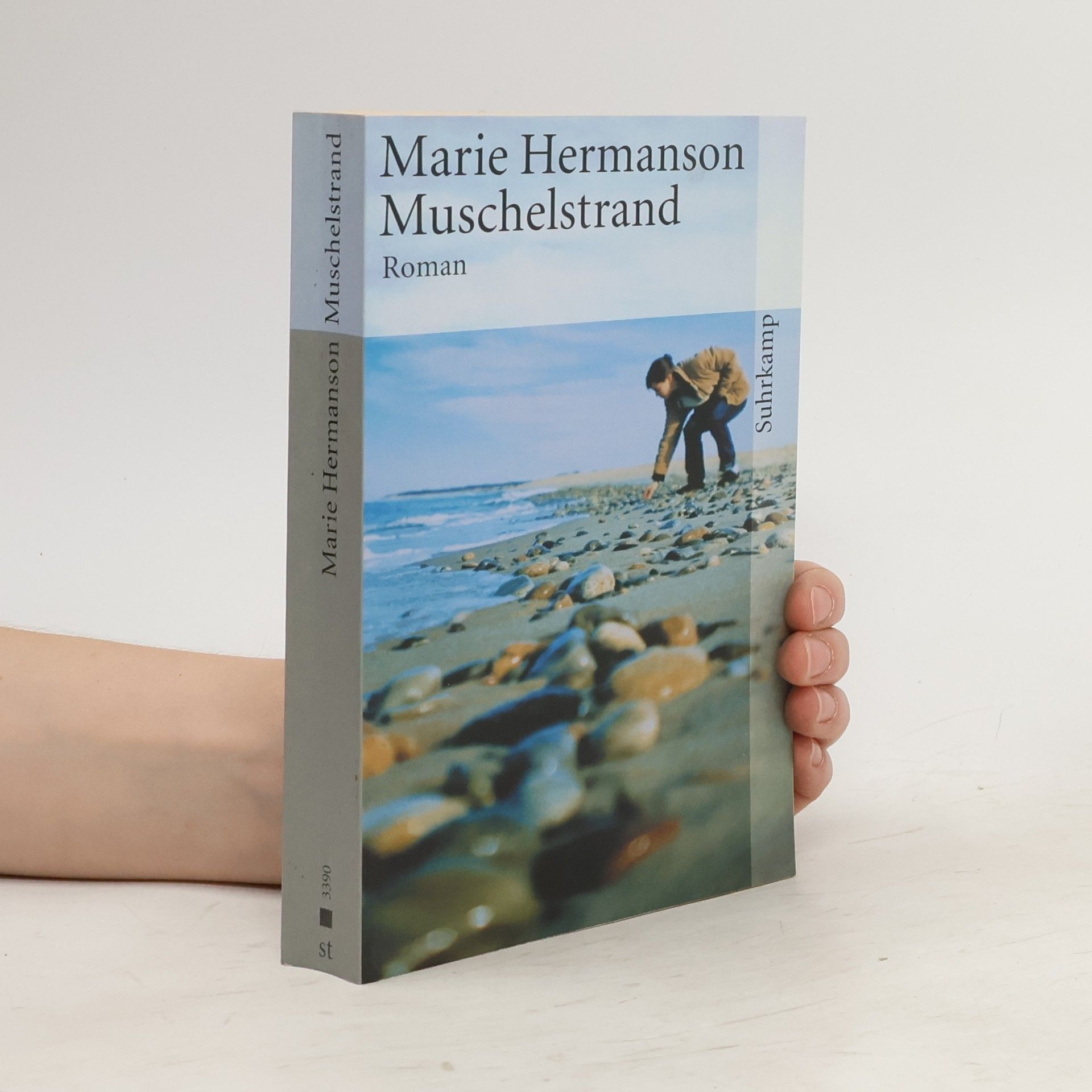 Marie Hermanson Muschelstrand
