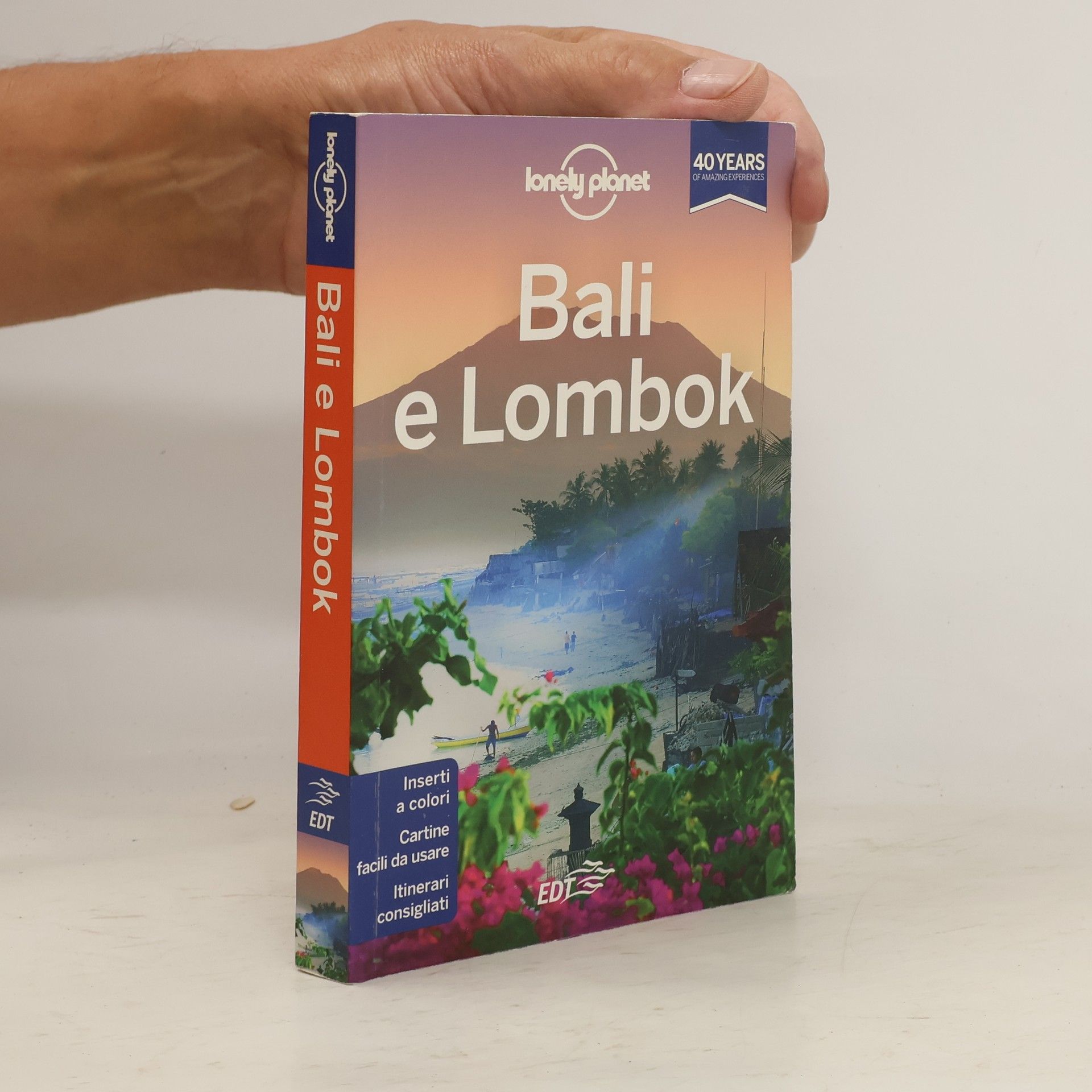Ryan Ver Berkmoes Bali e Lombok