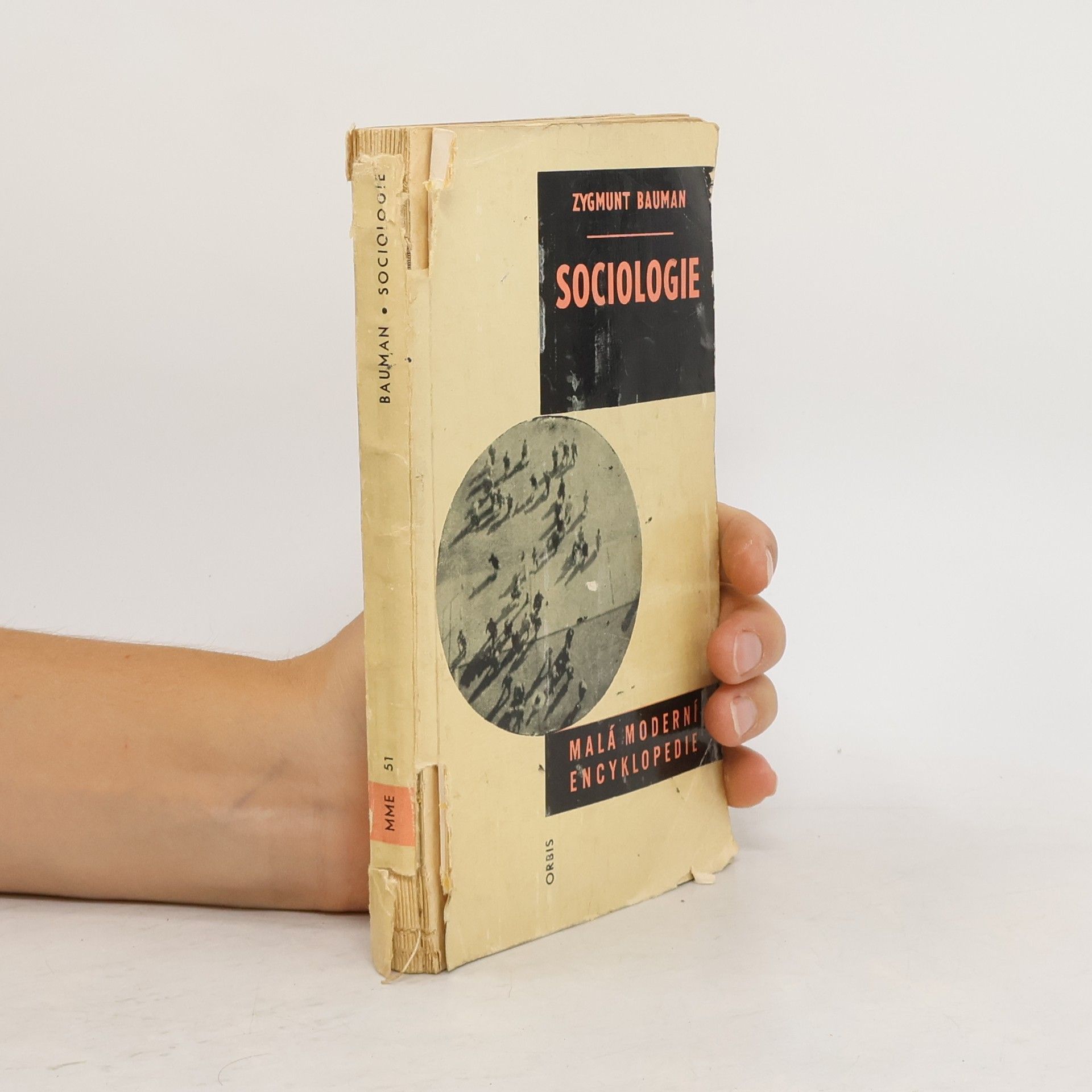 Zygmunt Bauman Sociologie