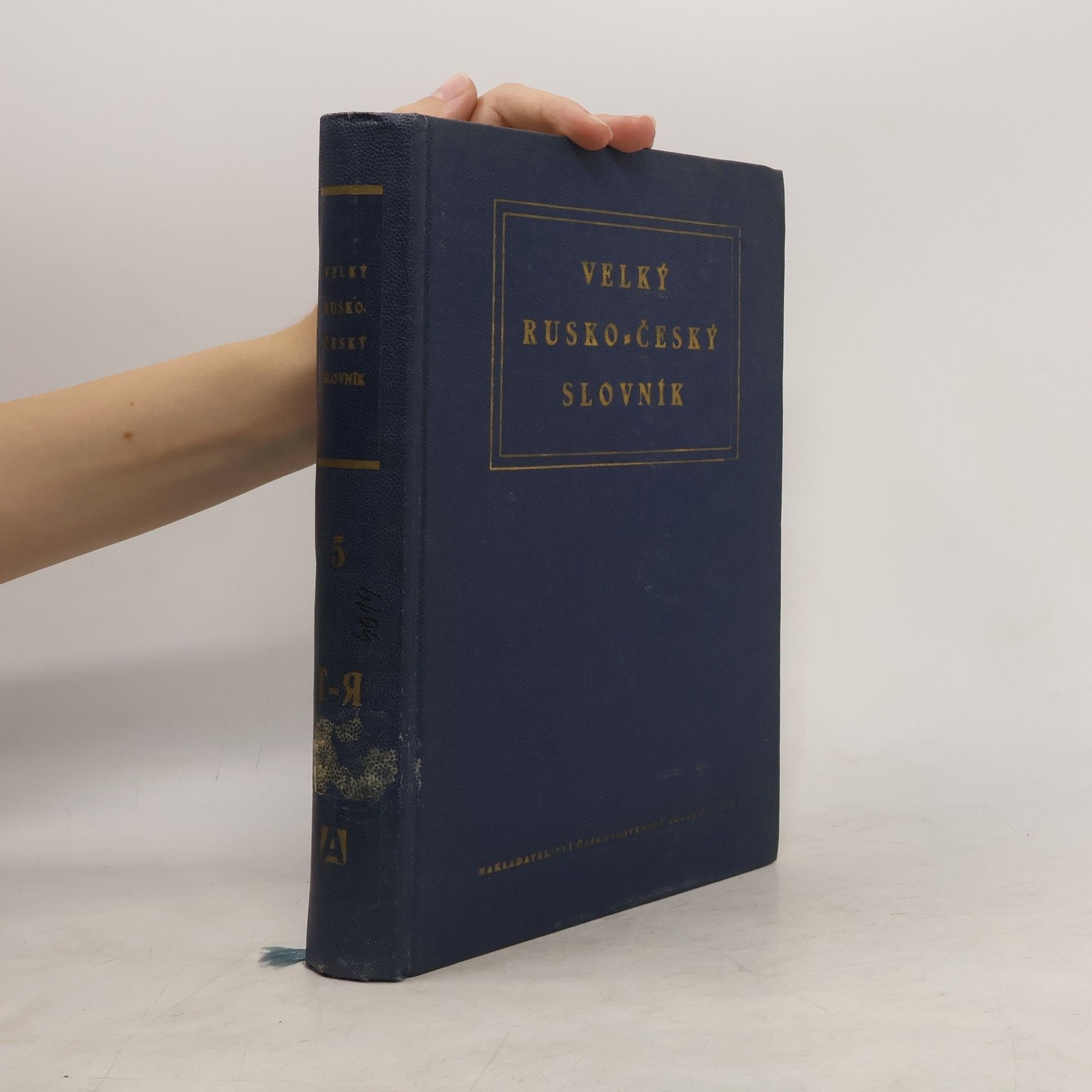 Autorenkollektiv Velký rusko-český slovník 6. A-Я
