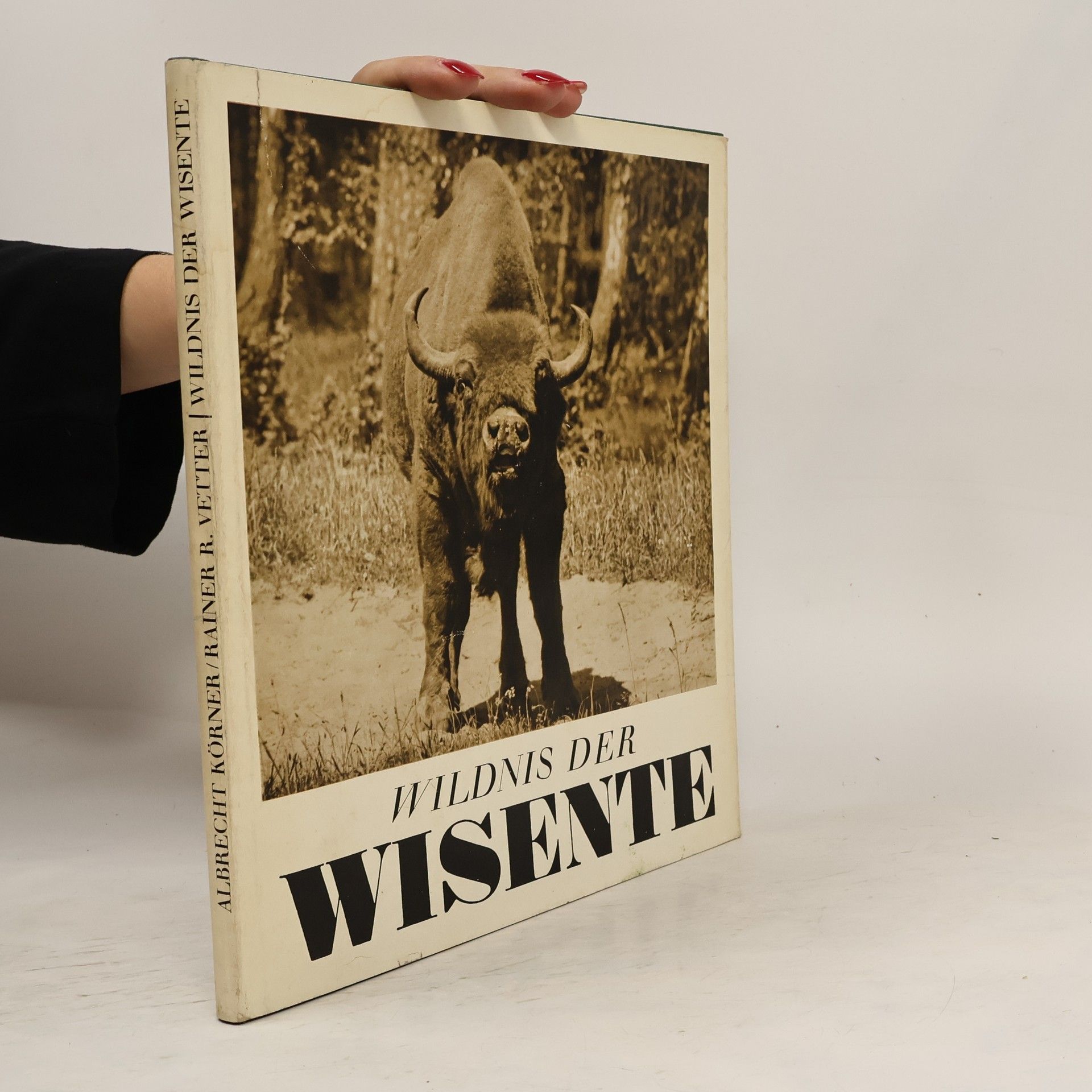 Albrecht Körner Wildnis der Wisente