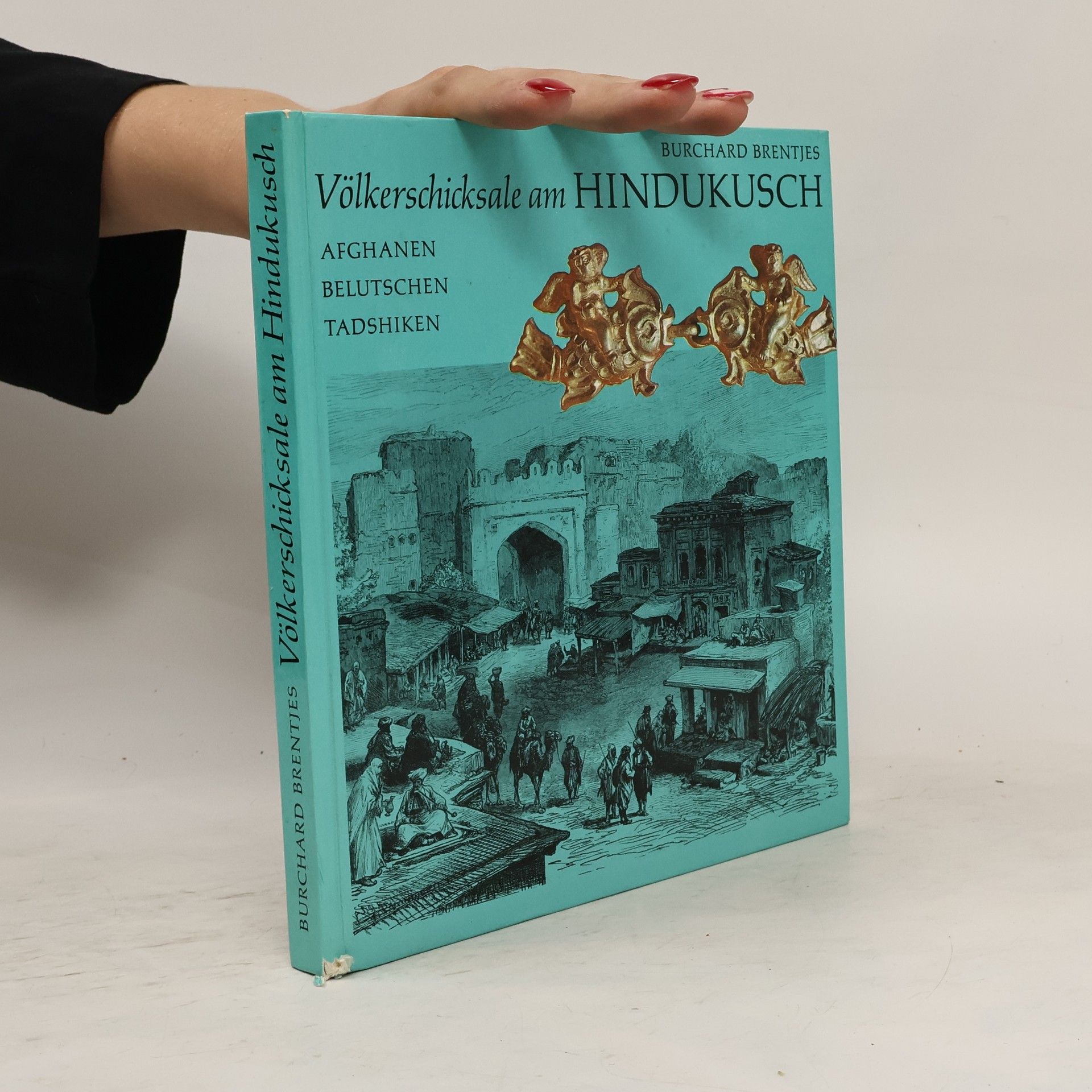 Burchard Brentjes Völkerschicksale am Hindukusch