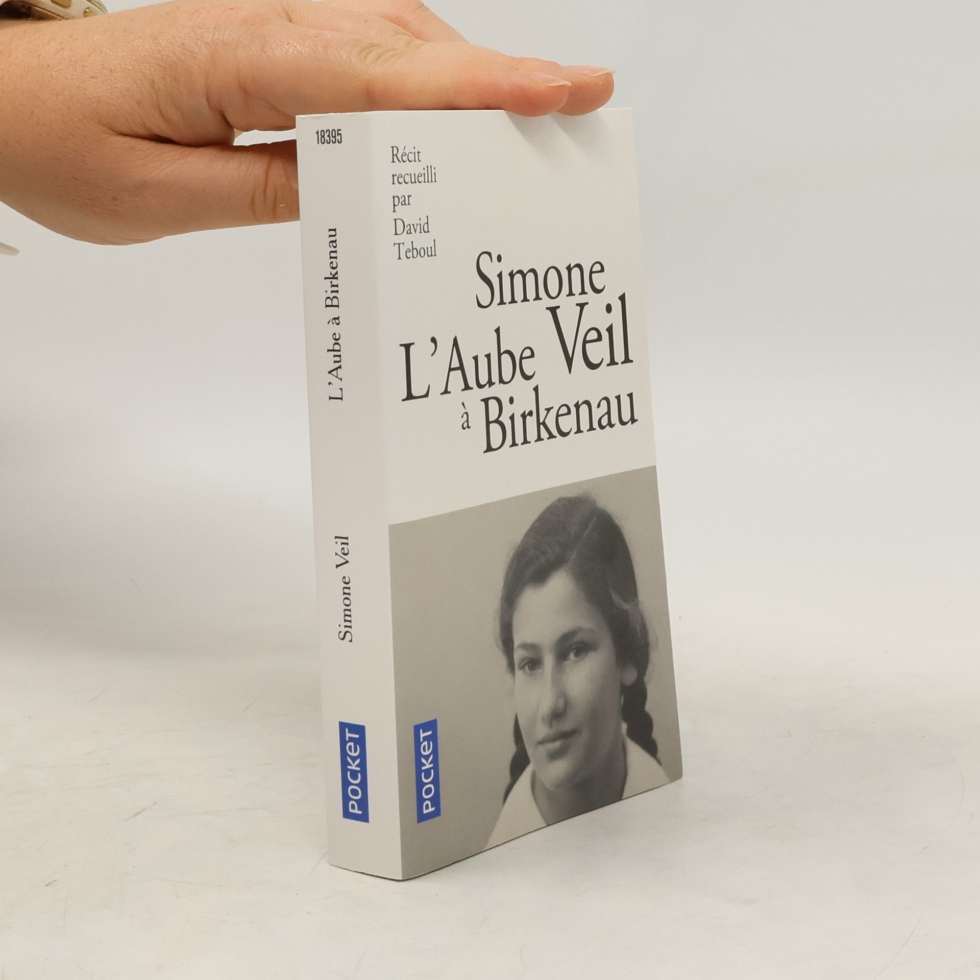 Simone Veil L’aube à Birkenau