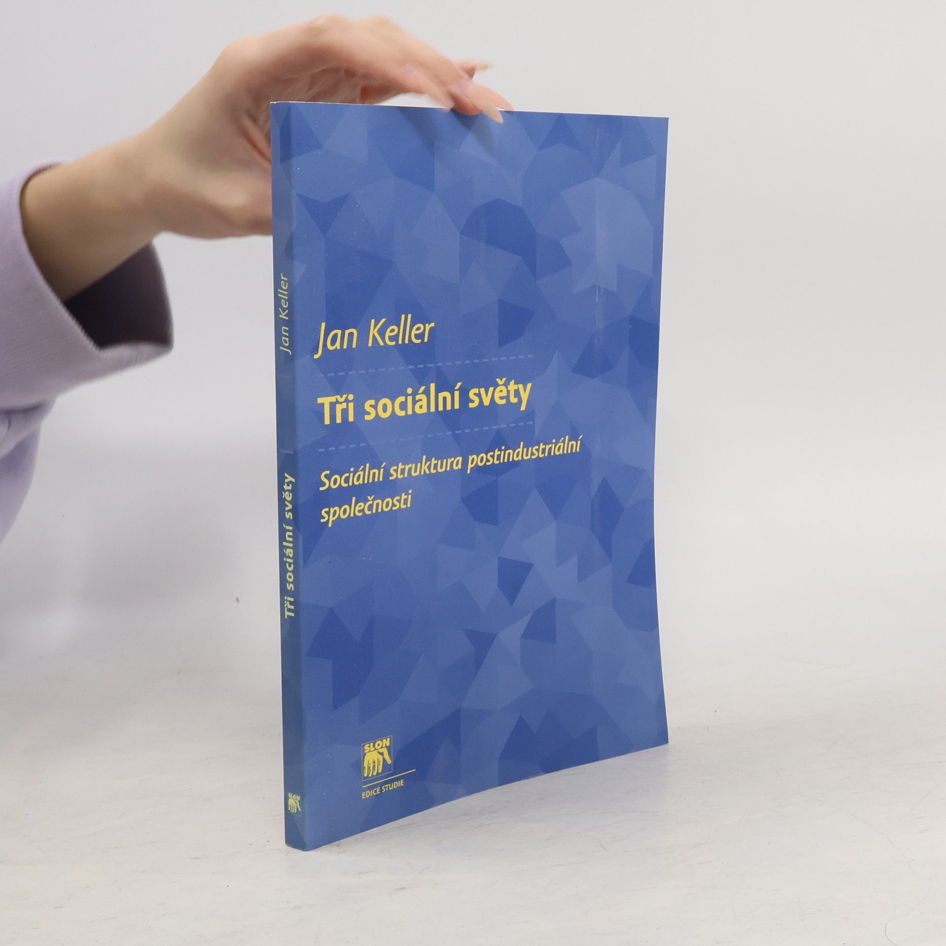 Tři sociální světy. Sociální struktura postindustriální společnosti