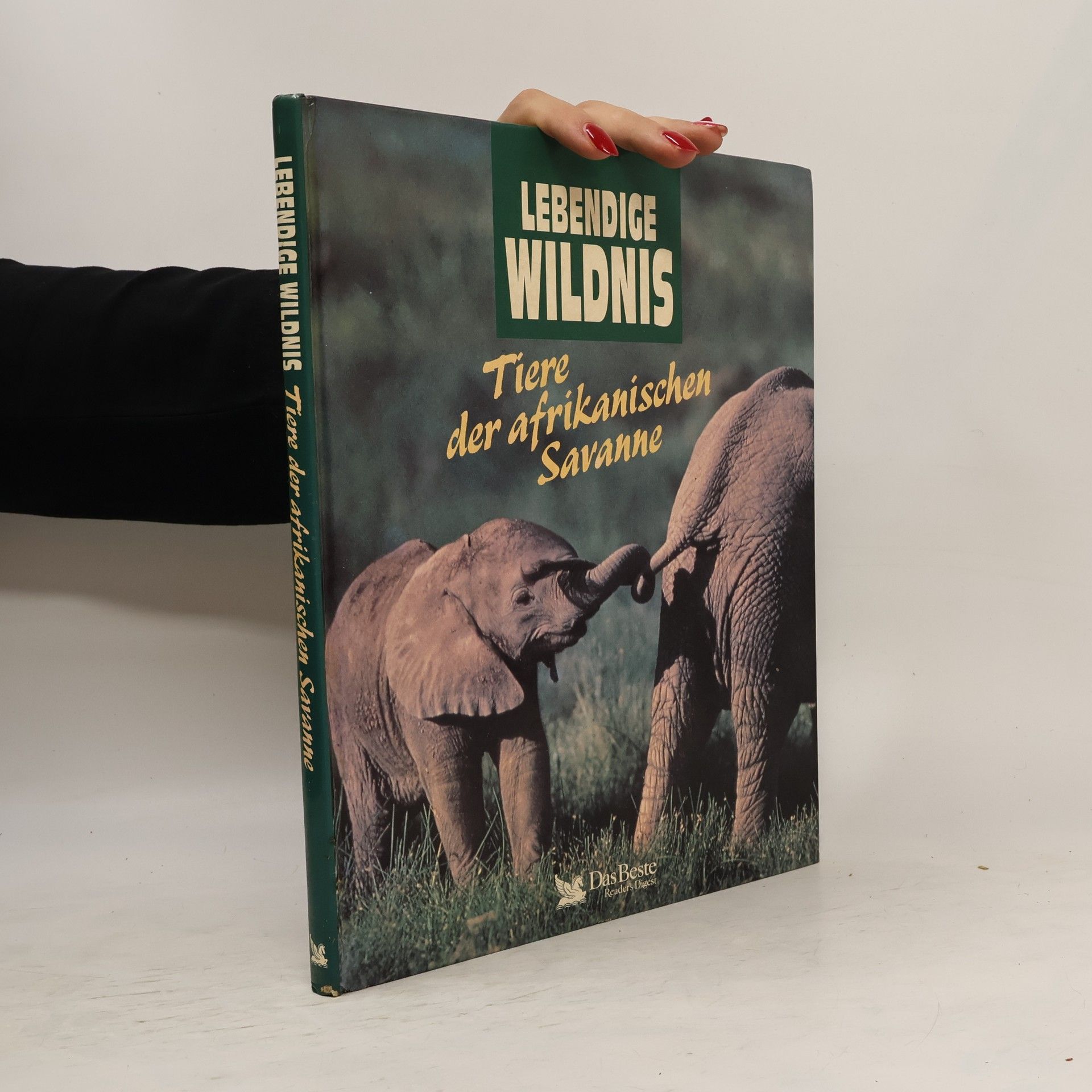 Geor Kessler Lebendige Wildnis - Tiere der afrikanischen Savanne