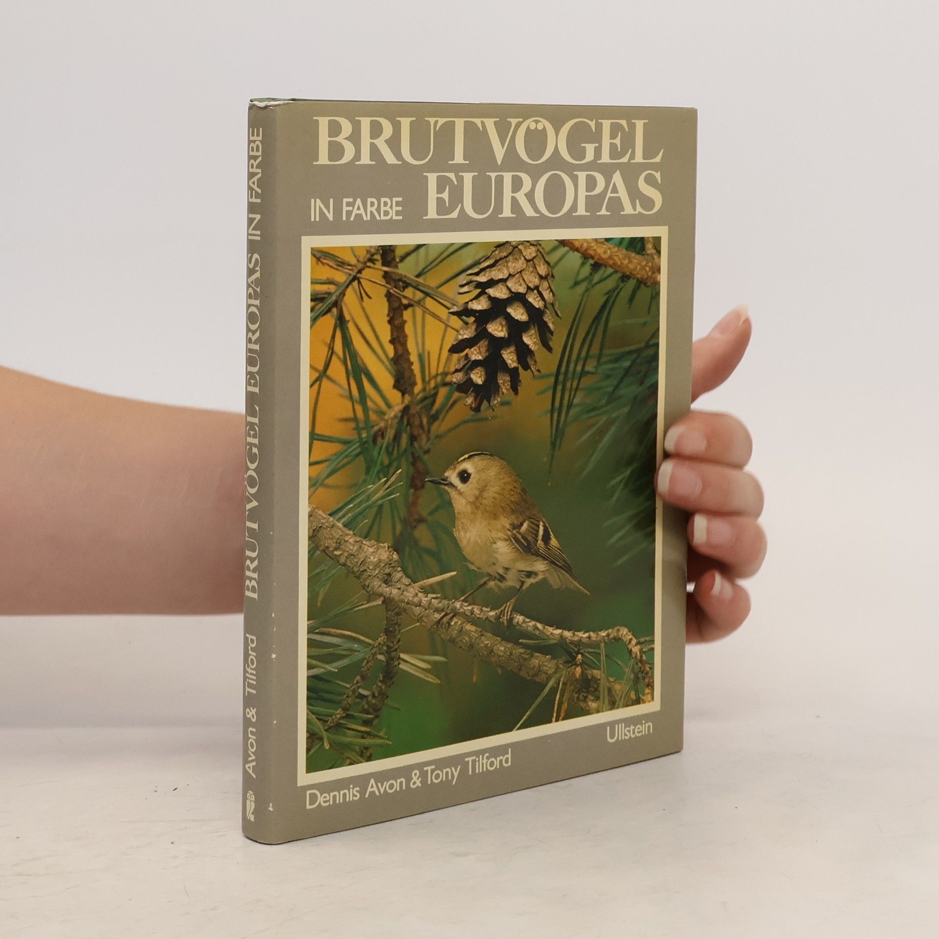 Dennis Avon Brutvögel Europas