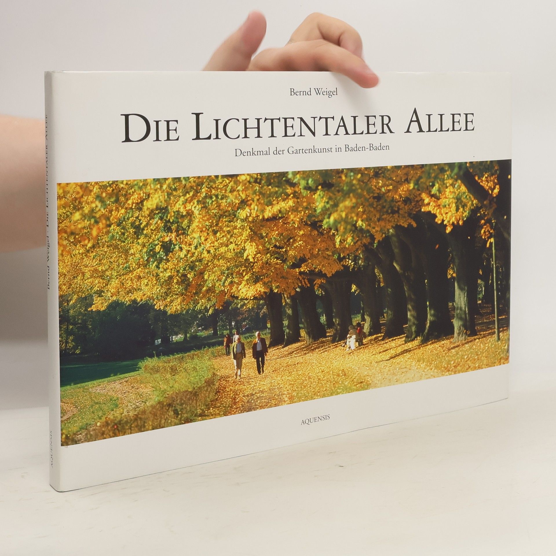 Bernd Weigel Die Lichtentaler Allee