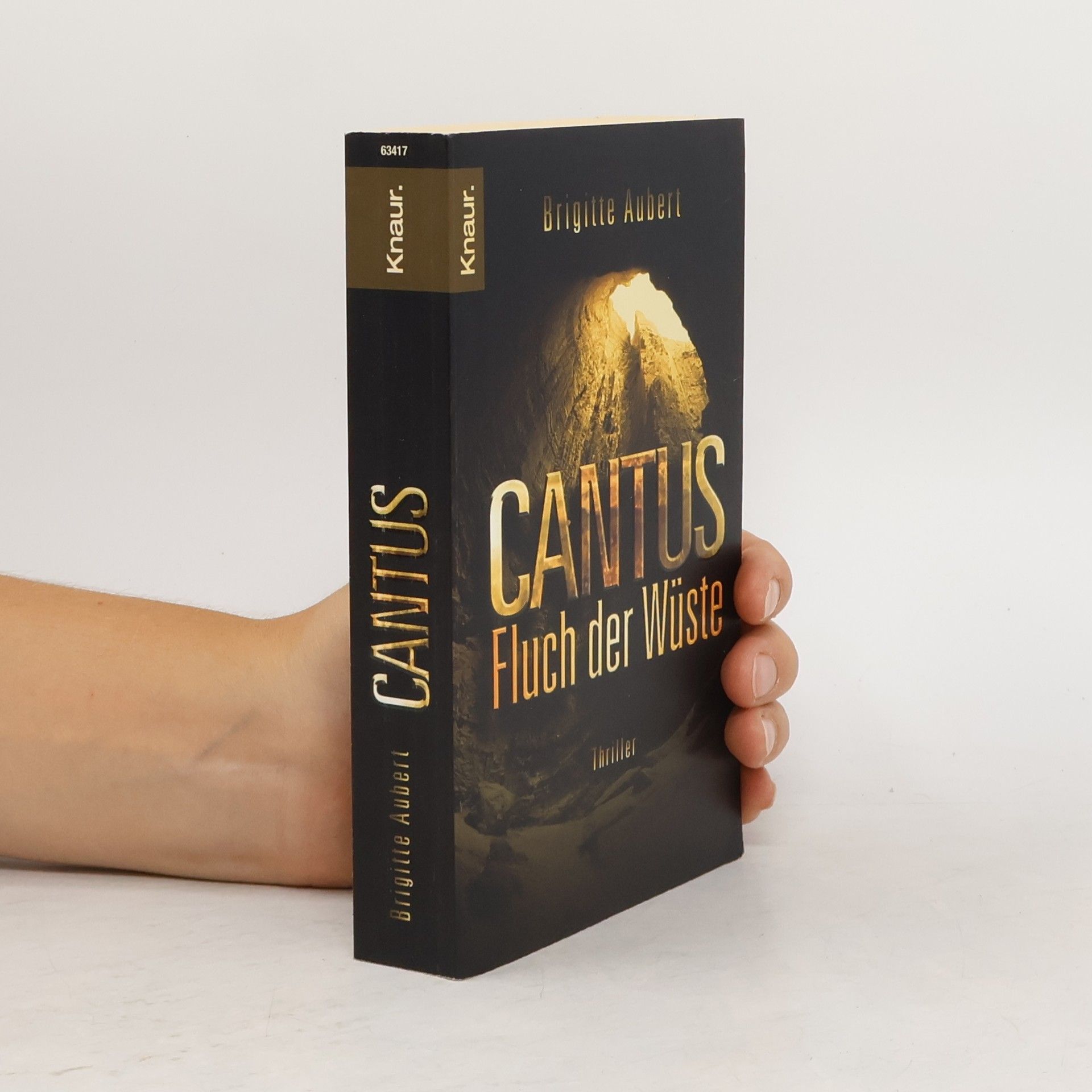Brigitte Aubert Cantus. Fluch der Wüste