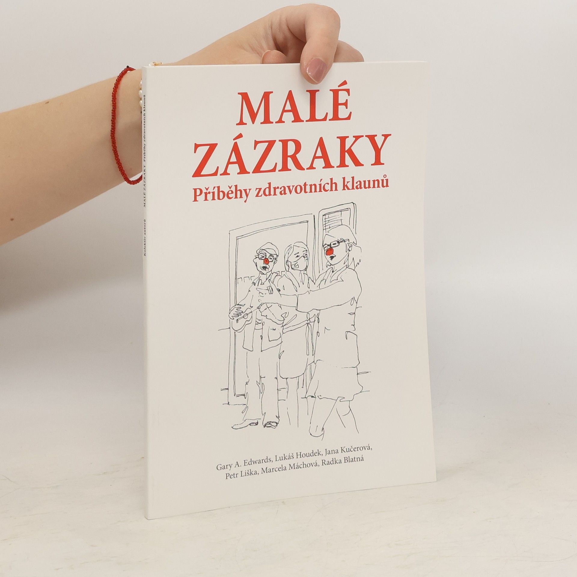 Autores varios Malé zázraky. Příběhy zdravotních klaunů