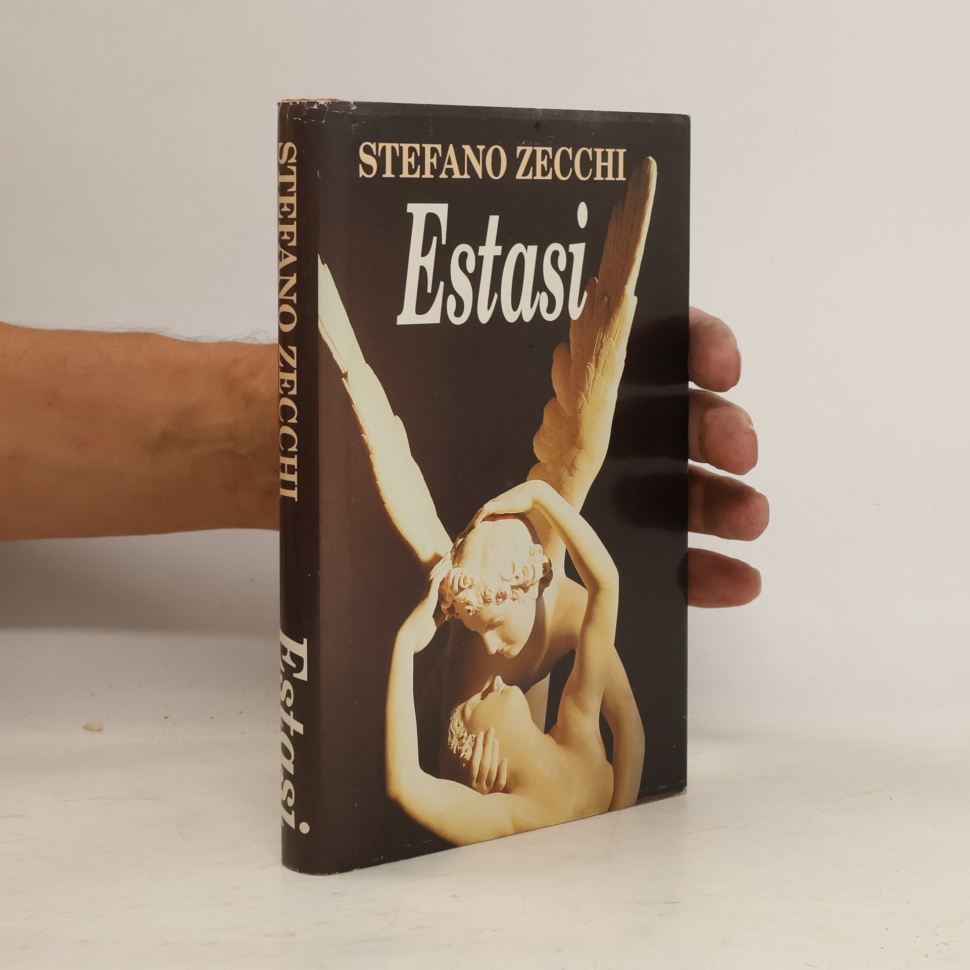 Stefano Zecchi Estasi