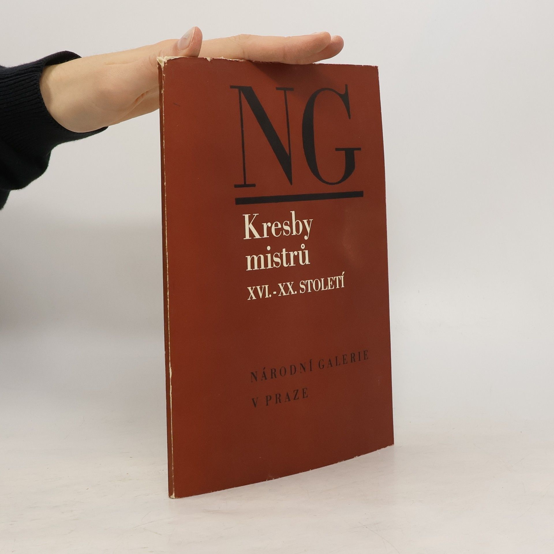 Autorenkollektiv Kresby mistrů XVI.- XX. století. Ze státních uměleckých sbírek v Drážďanech