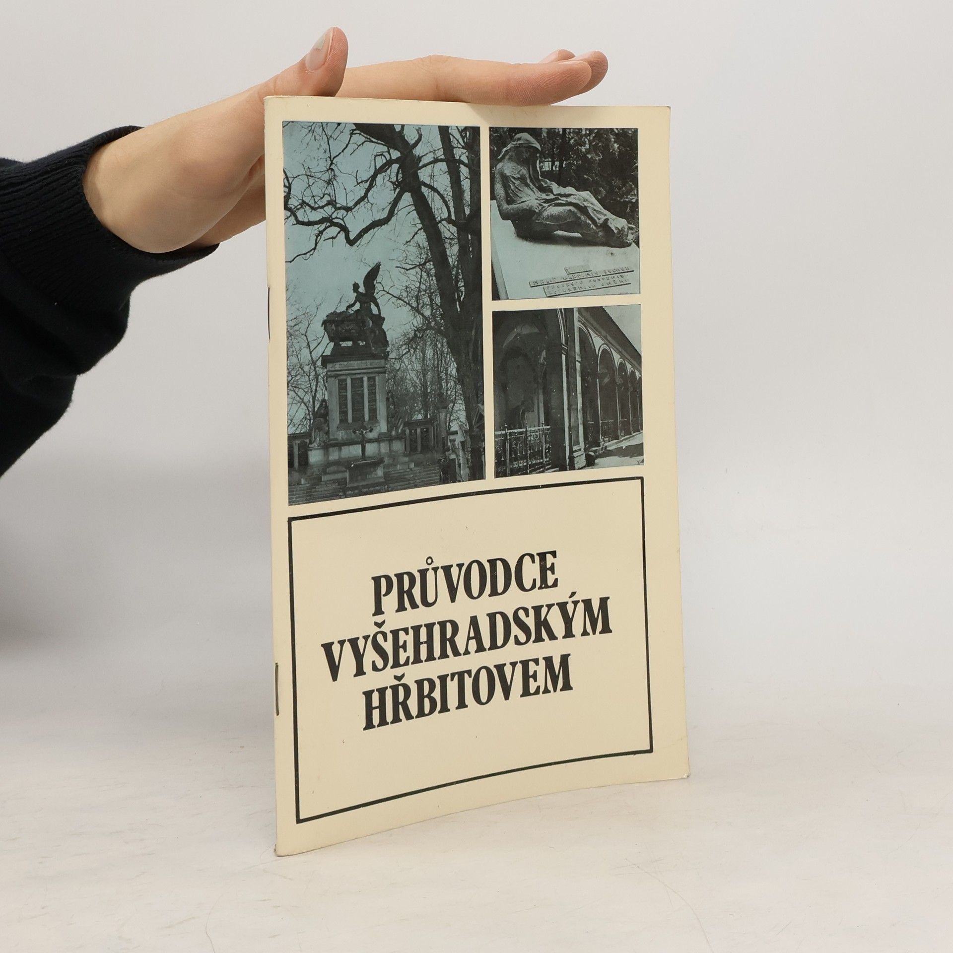 Bořivoj Nechvátal Průvodce vyšehradským hřbitovem