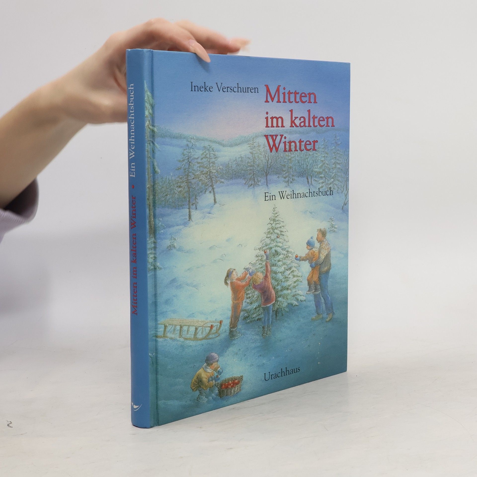 Ineke Verschuren Mitten im kalten Winter