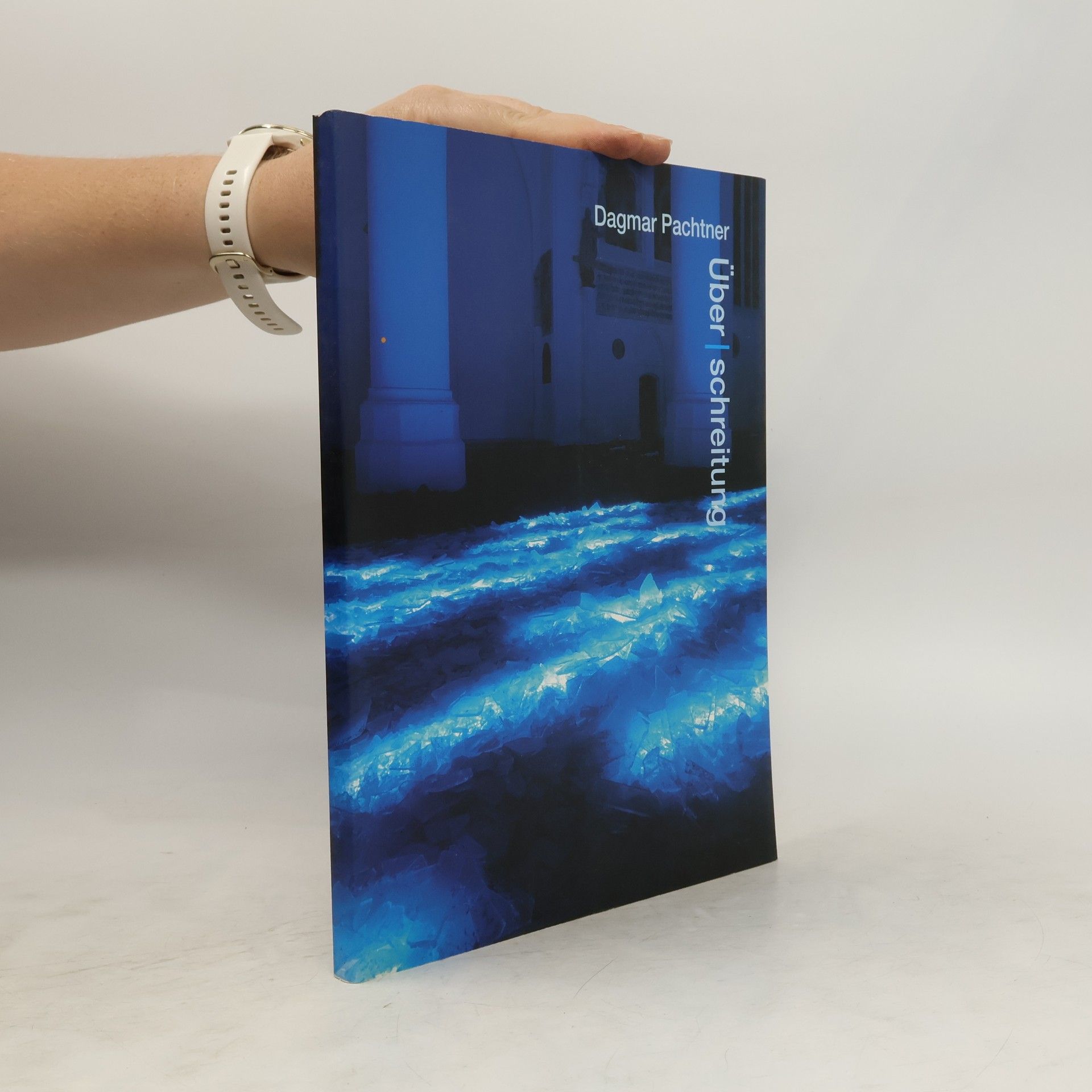 Dagmar Pachtner Dagmar Pachtner - Überschreitung