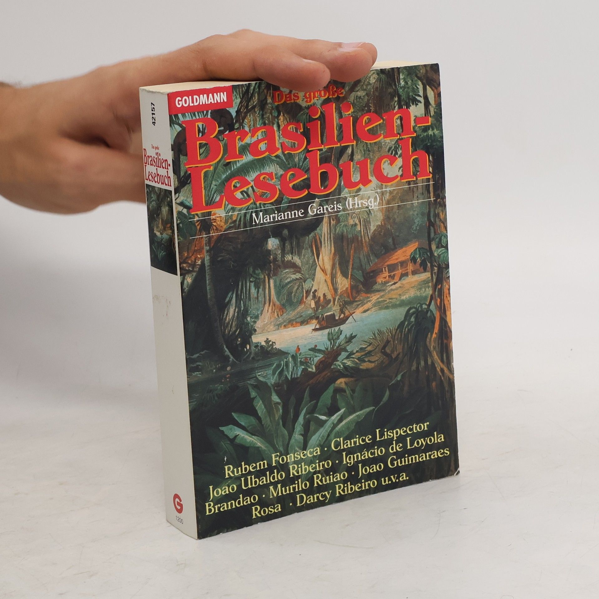 Marianne Gareis Das grosse Brasilien-Lesebuch