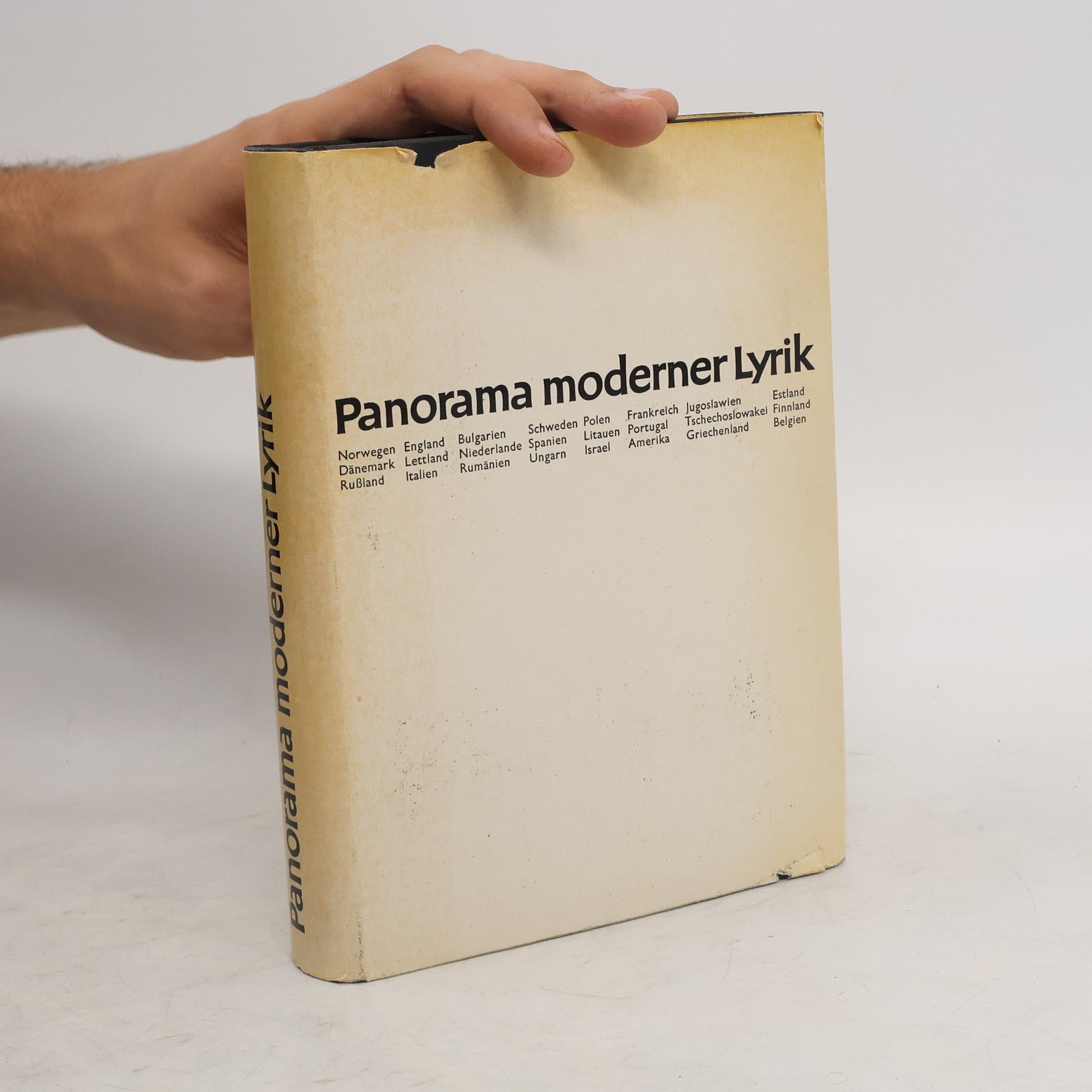 Kolektiv autorů Panorama moderner Lyrik