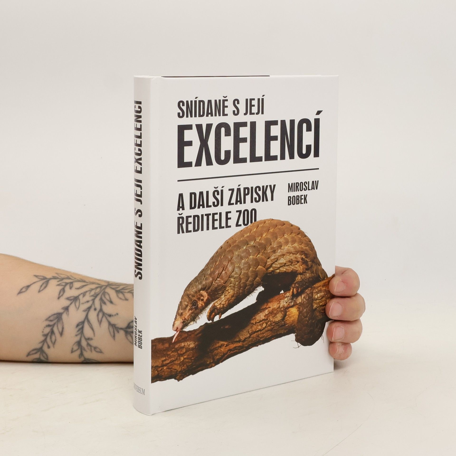 Miroslav Bobek Snídaně s její excelencí