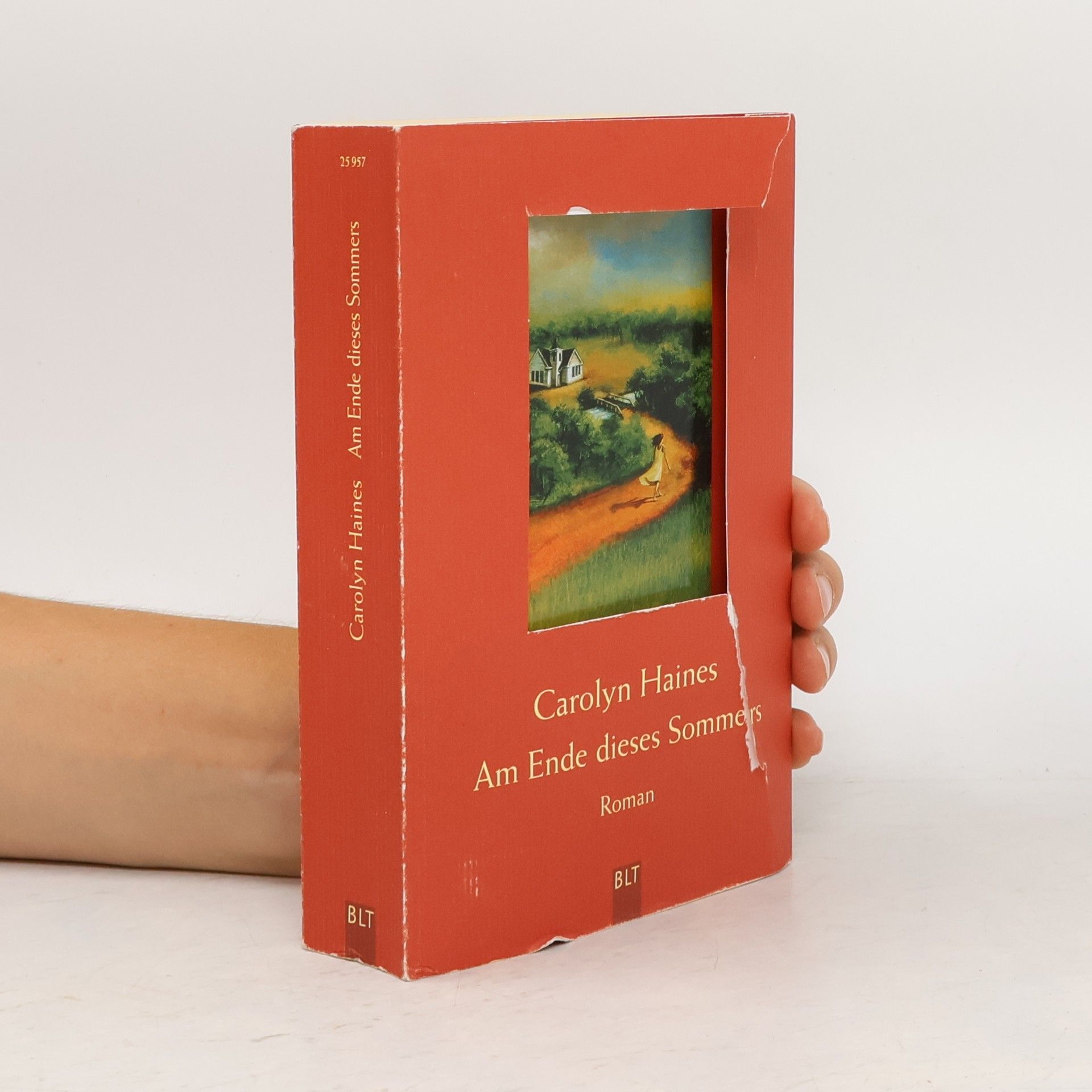Carolyn Haines Am Ende dieses Sommers