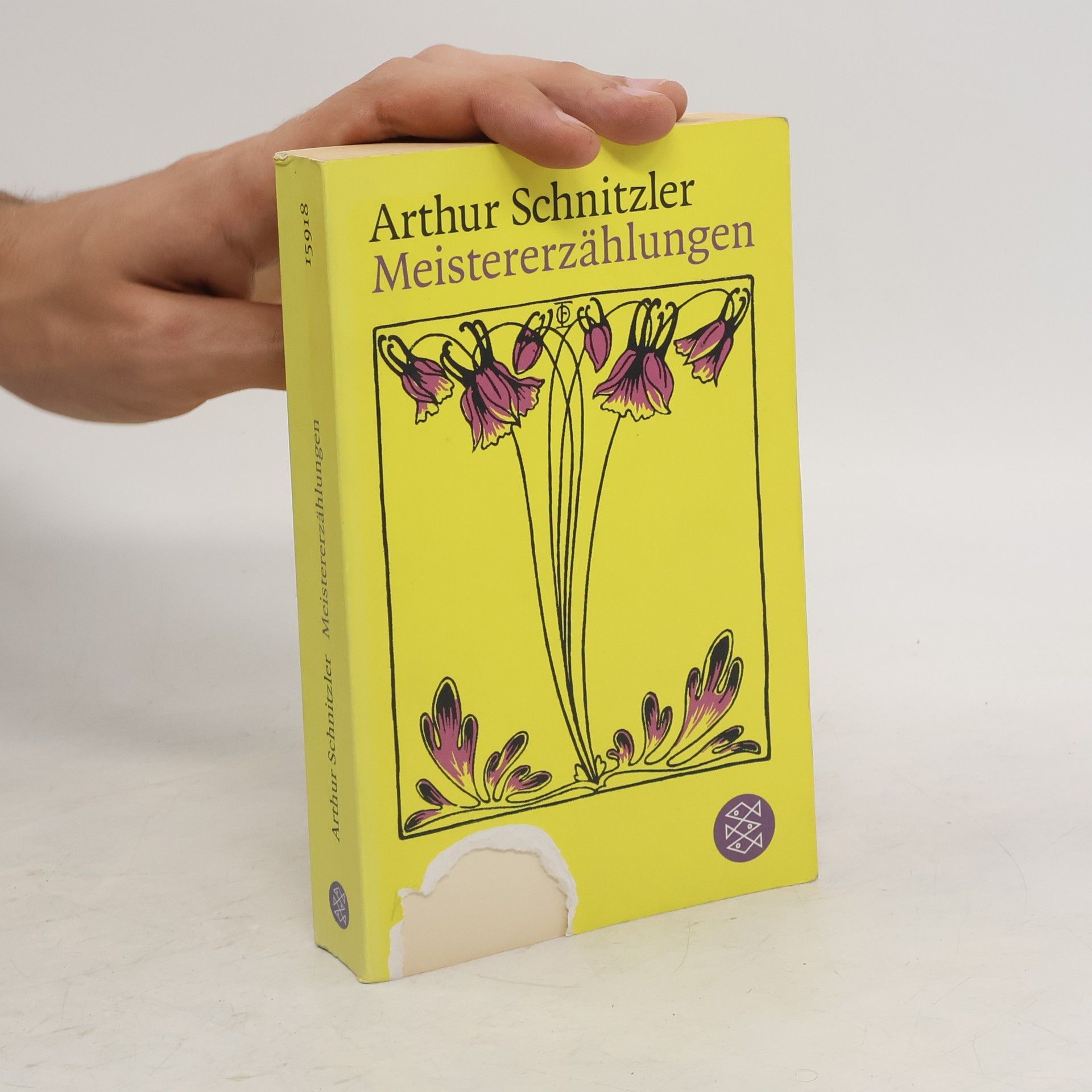 Arthur Schnitzler Meistererzählungen