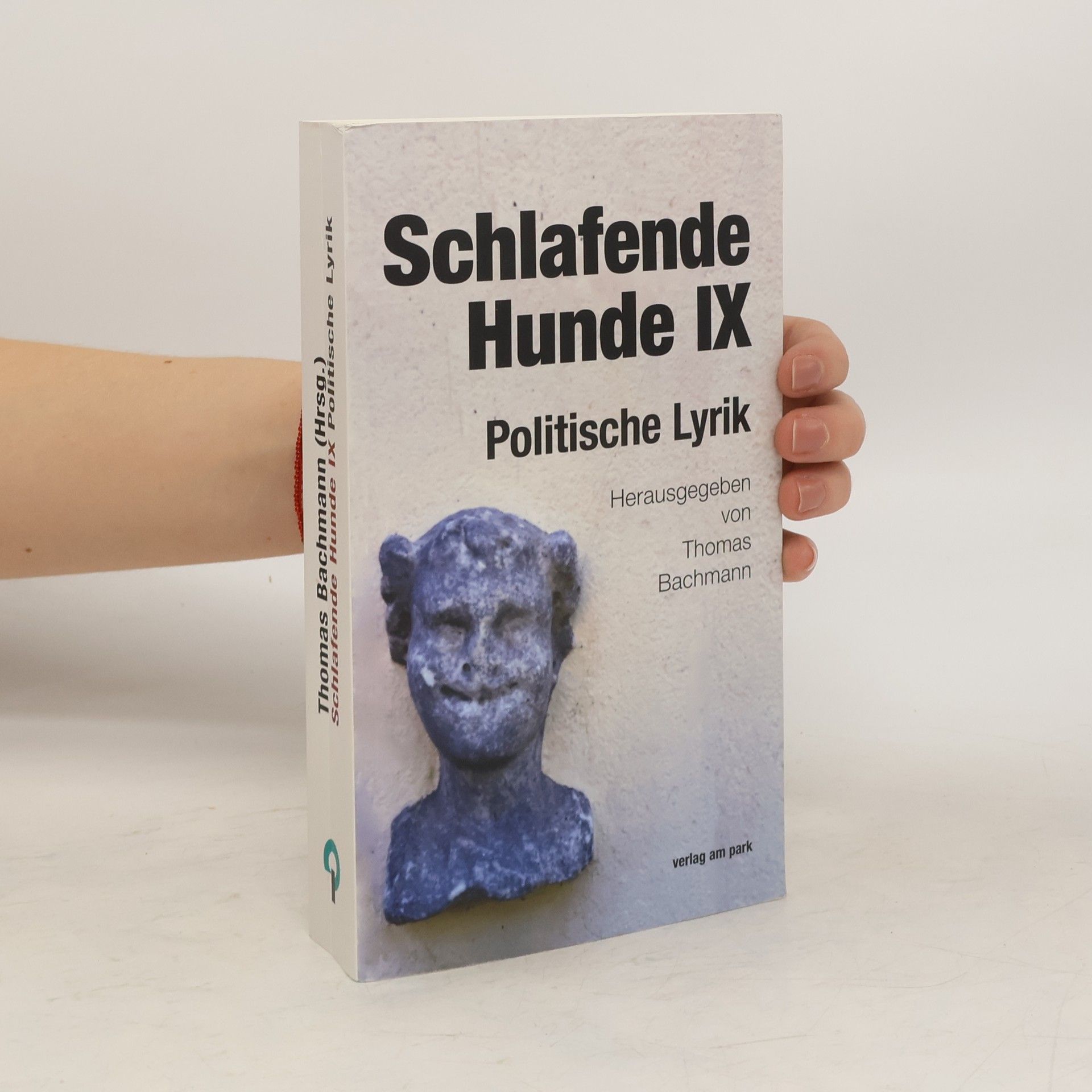 Thomas Bachmann Schlafende Hunde IX
