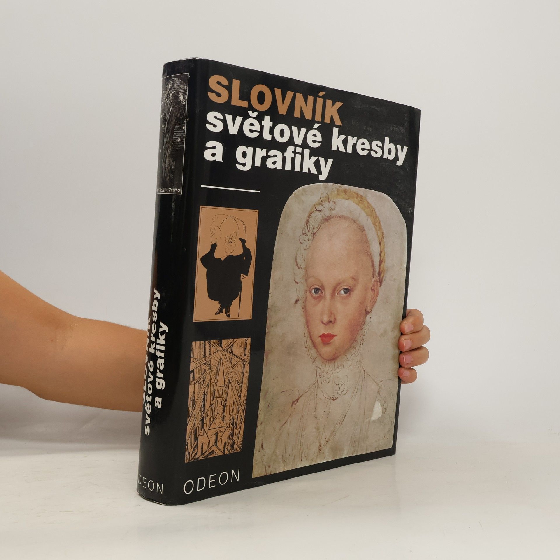 Collectif d'auteurs Slovník světové kresby a grafiky