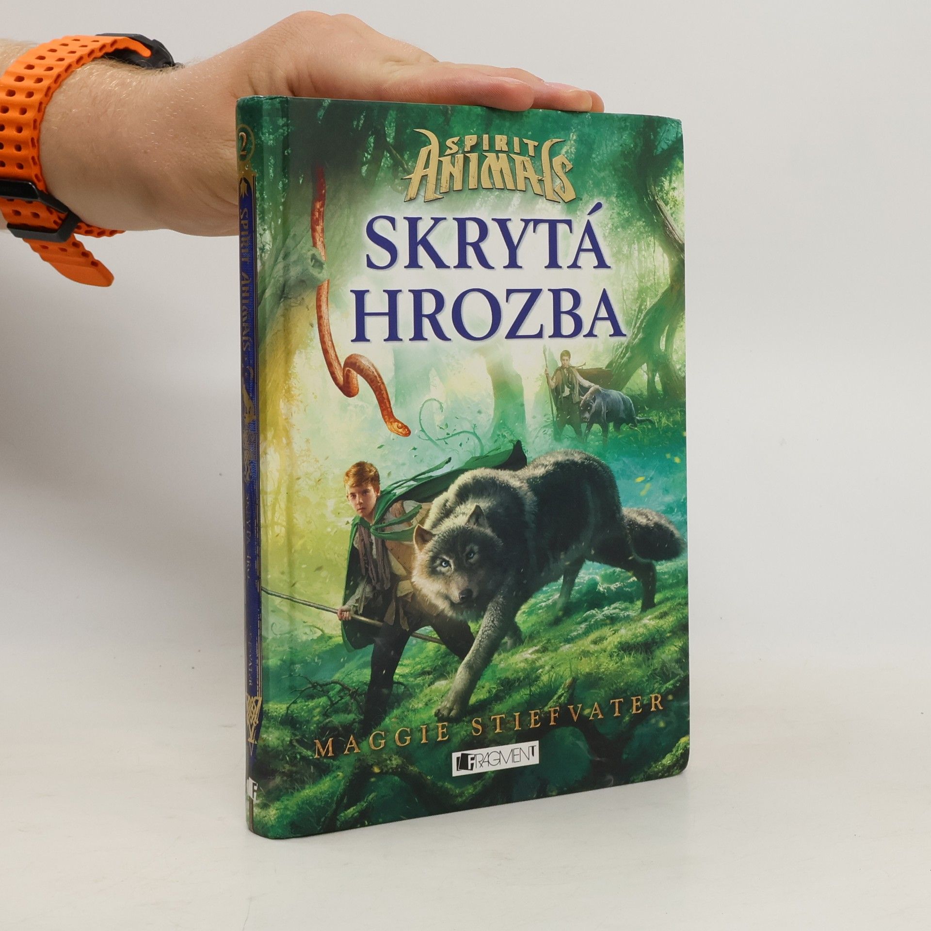 Maggie Stiefvater Skrytá hrozba