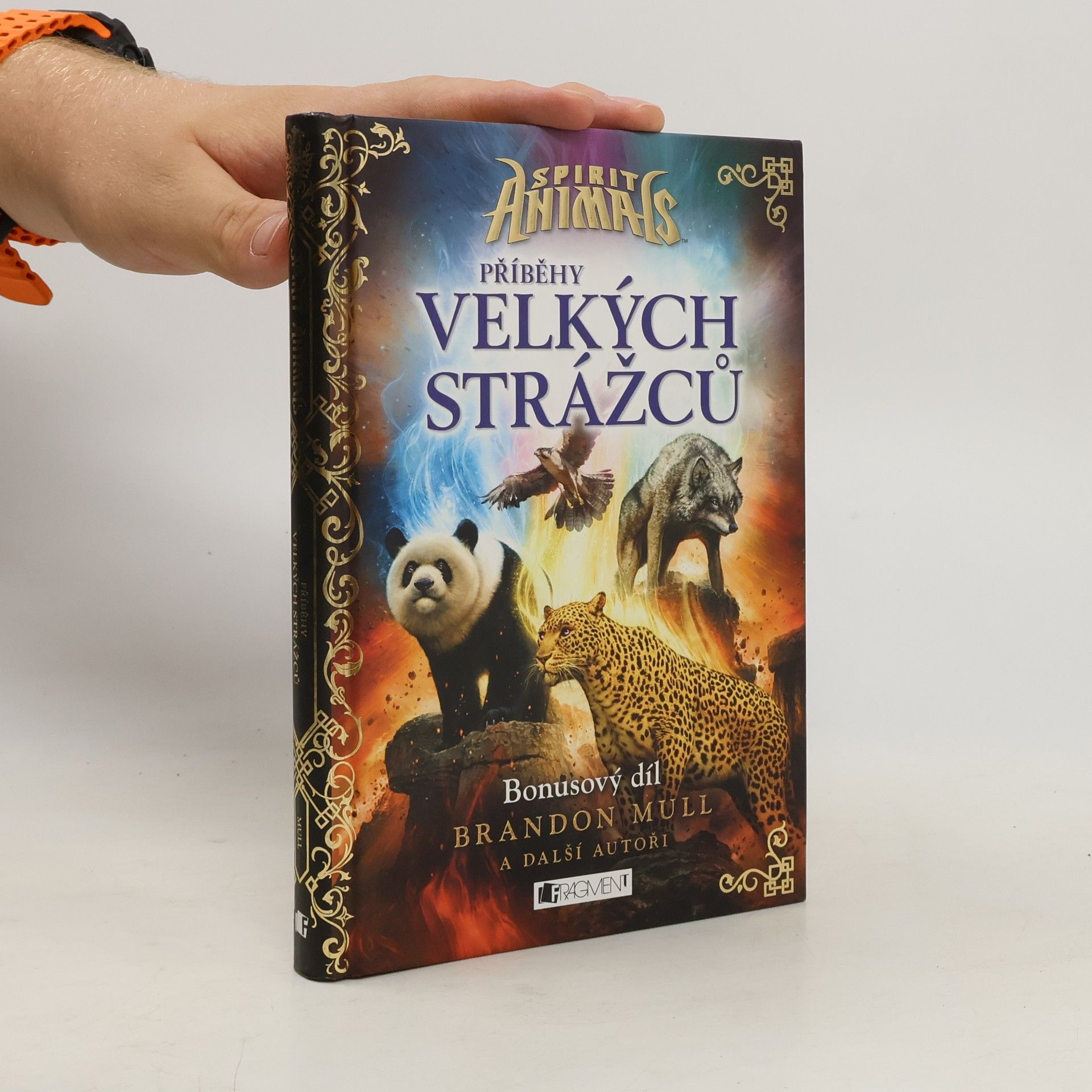 Brandon Mull Příběhy Velkých strážců