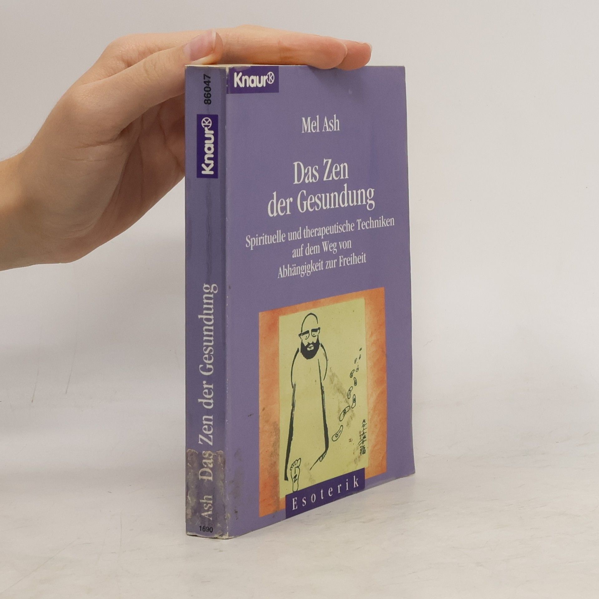 Mel Ash Das Zen der Gesundung