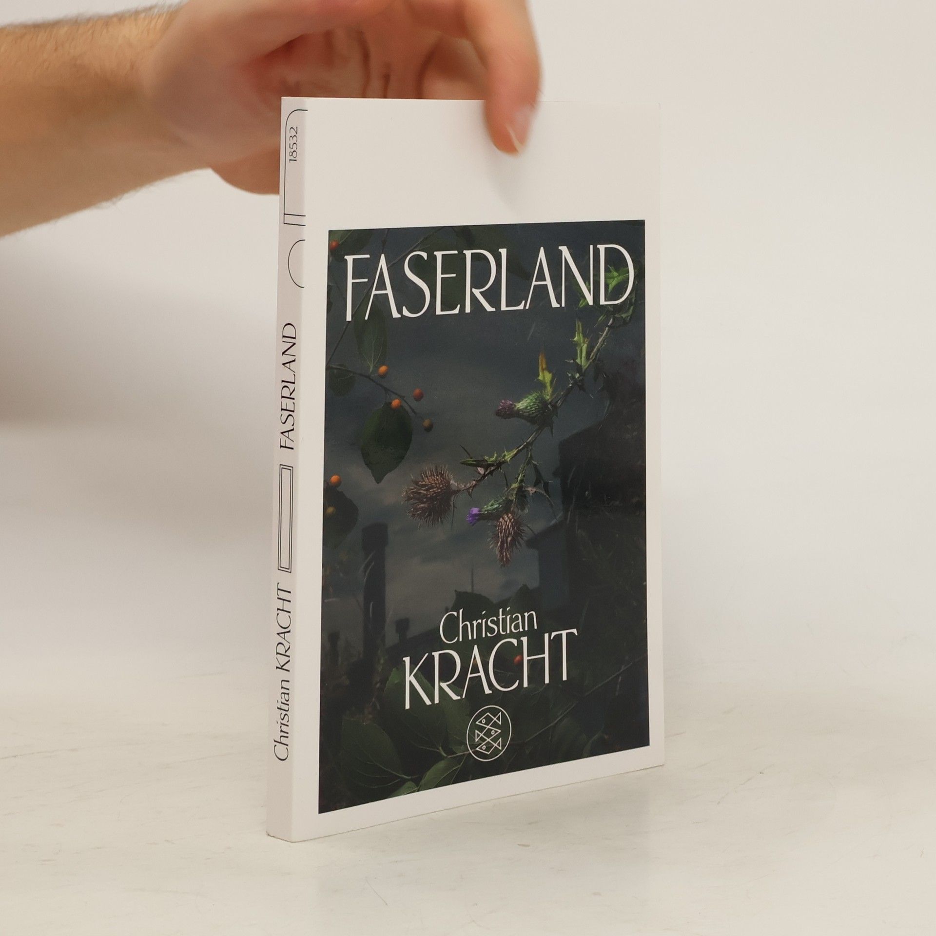 Christian Kracht Faserland