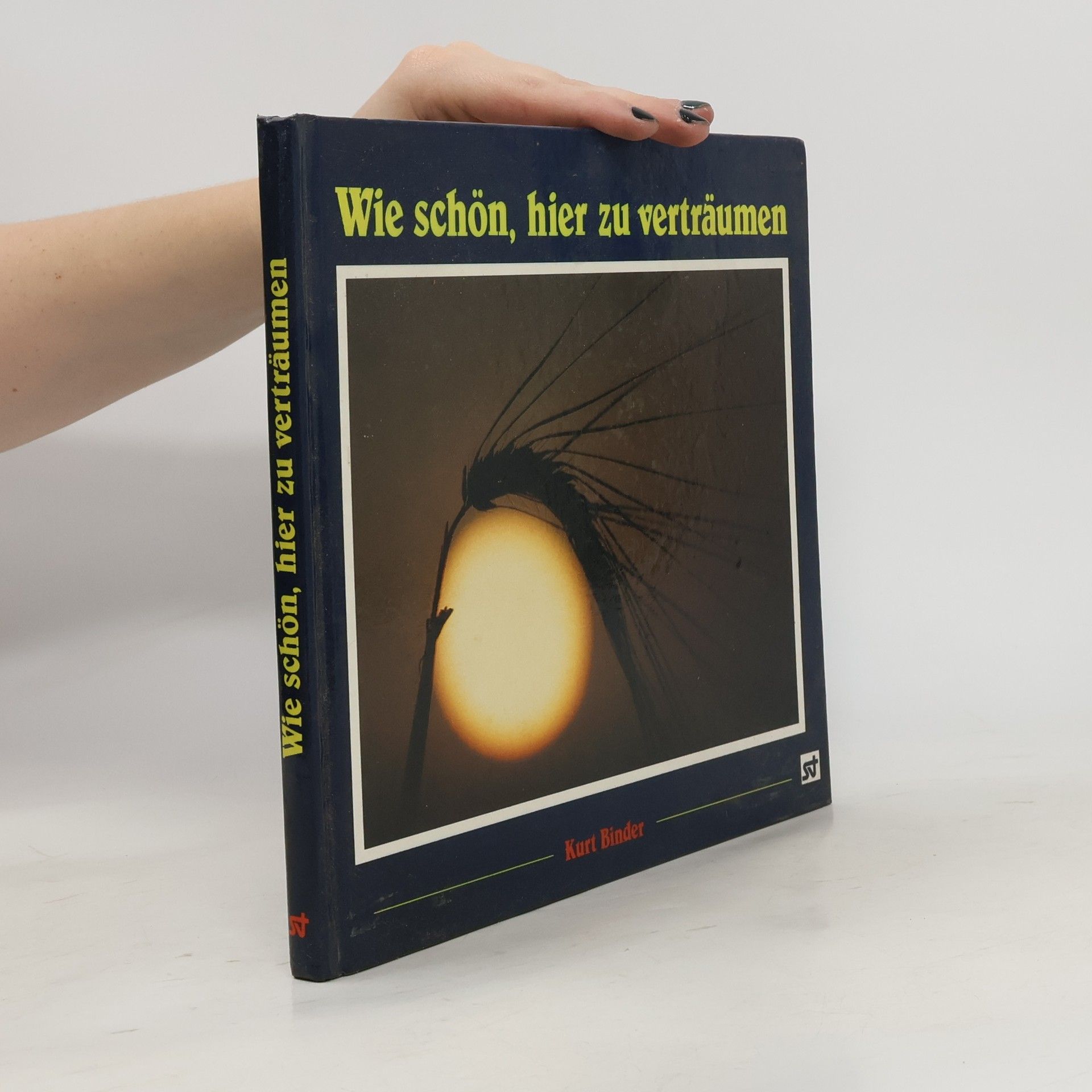 Kurt Binder Wie schön, hier zu verträumen