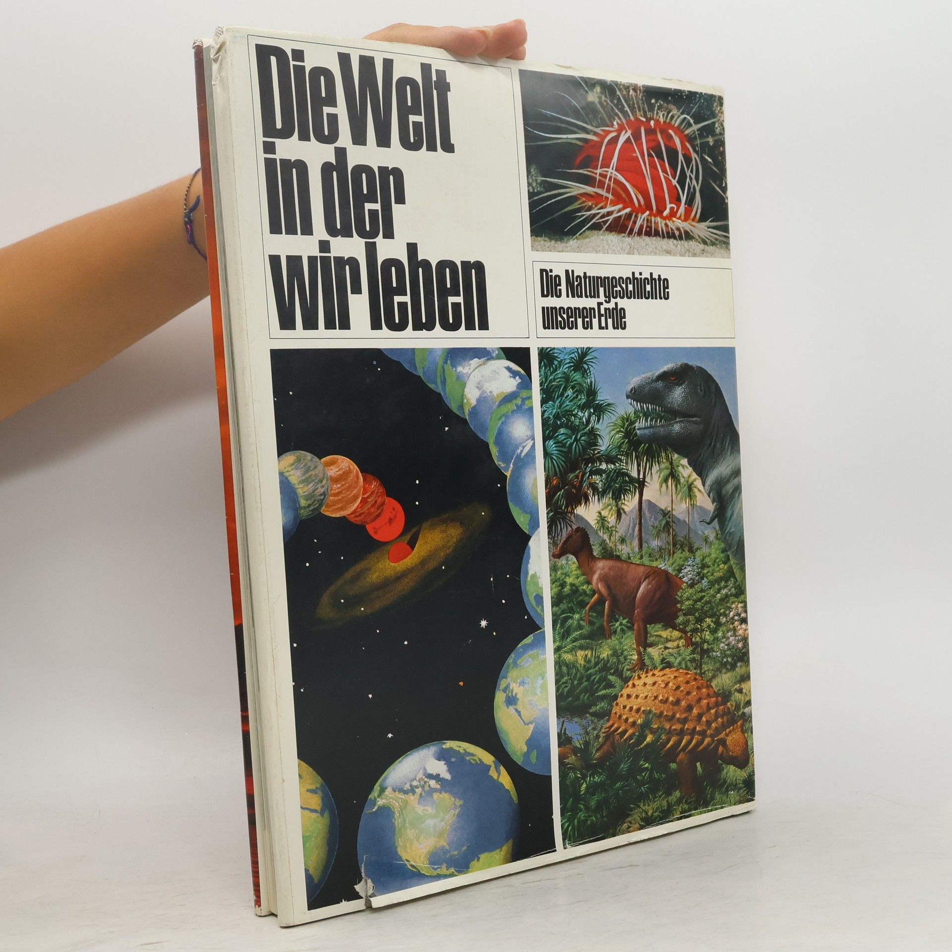 Kolektiv autorů Die Welt in der wir leben