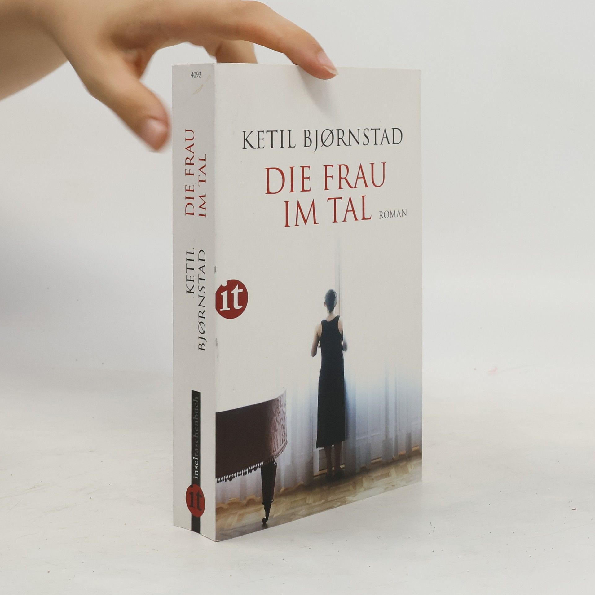 Ketil Bjørnstad Die Frau im Tal
