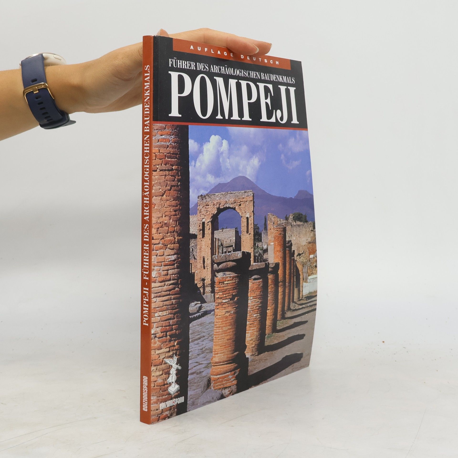 Kolektiv autorů Pompeji. Führer des archäologischen Baudenkmals