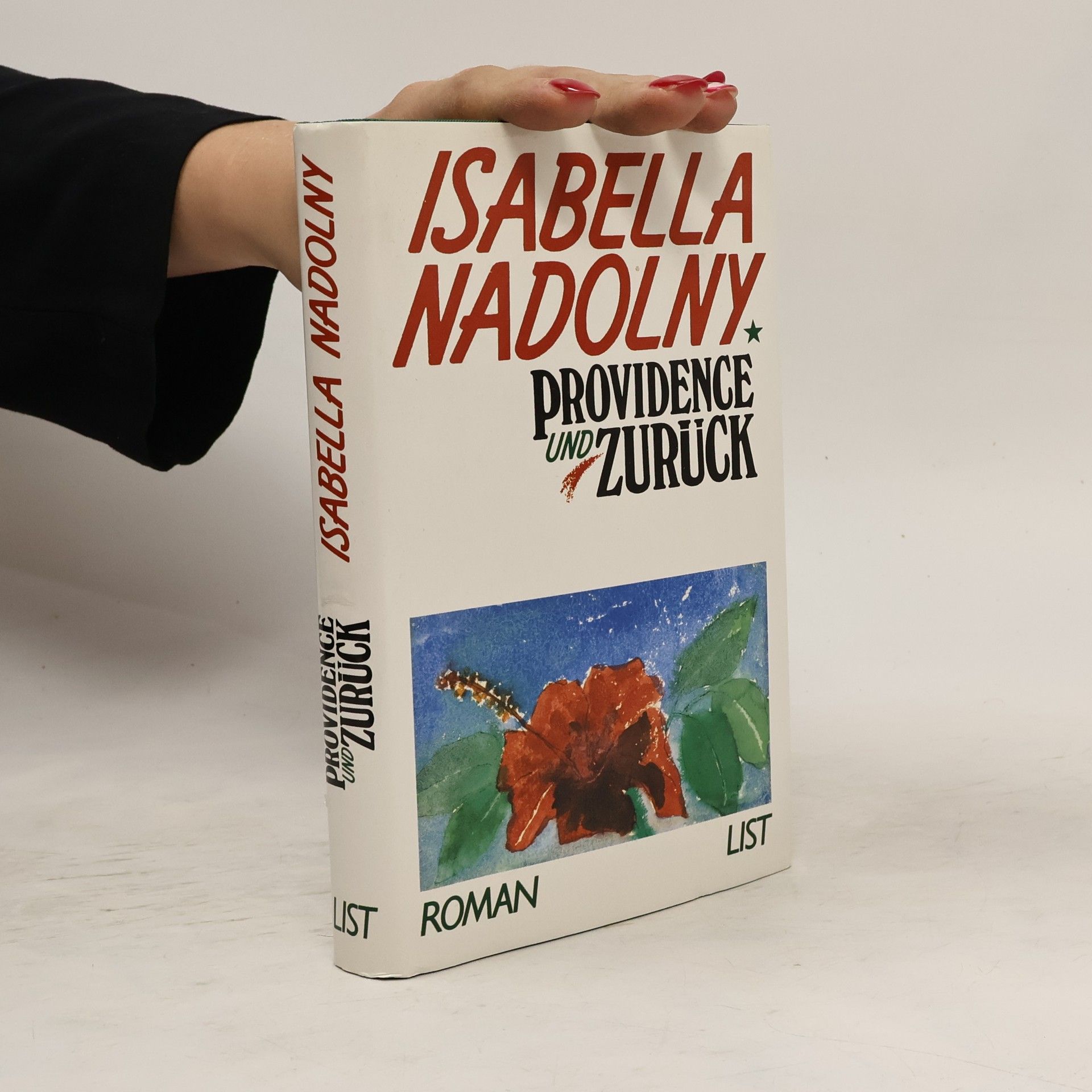 Isabella Nadolny Providence und zurück. Roman