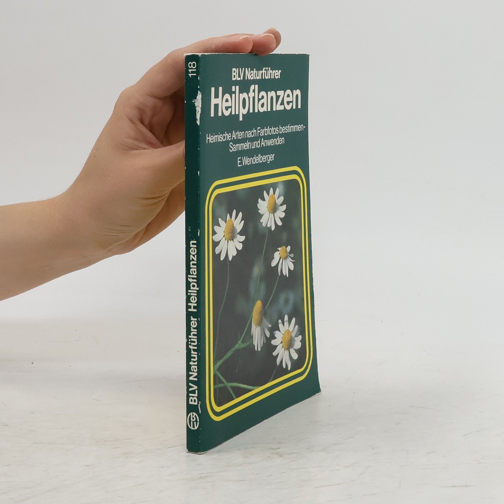 Elfrune Wendelberger Heilpflanzen