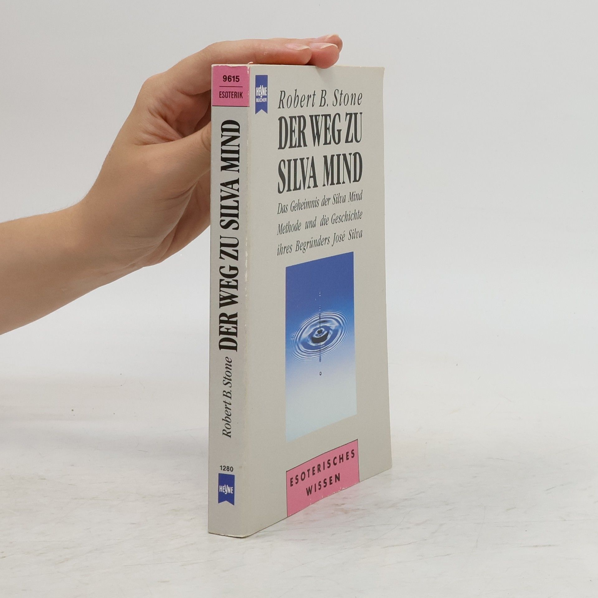 Robert Stone Der Weg zu Silva mind