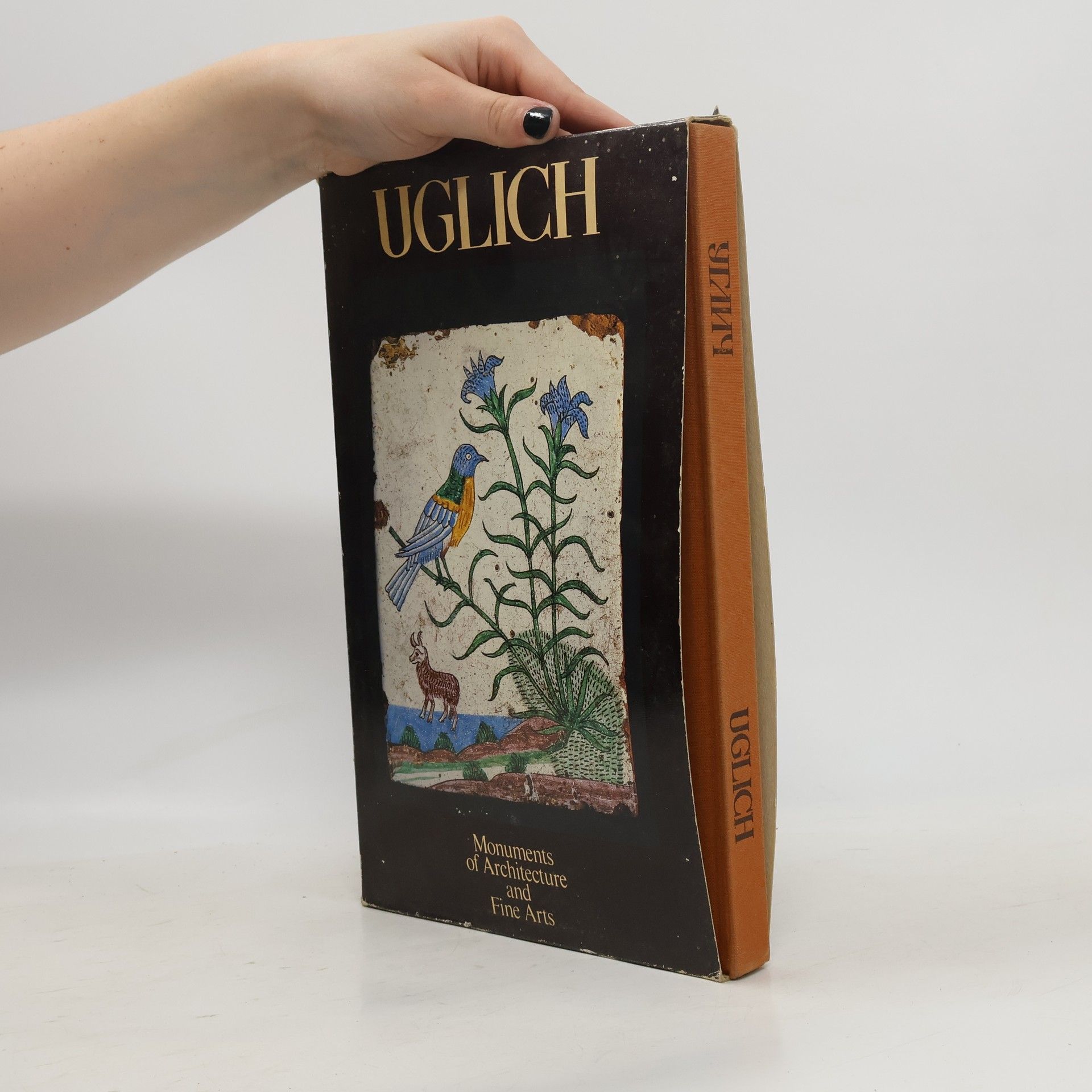 Семен Евгеньевич Новиков Uglich