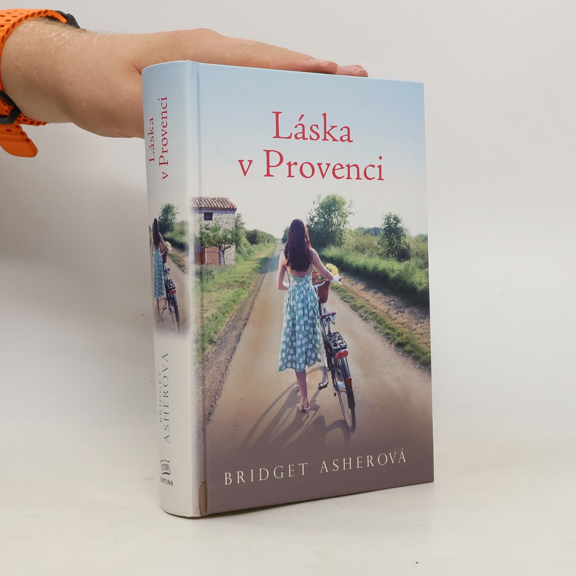 Bridget Asher Láska v Provenci