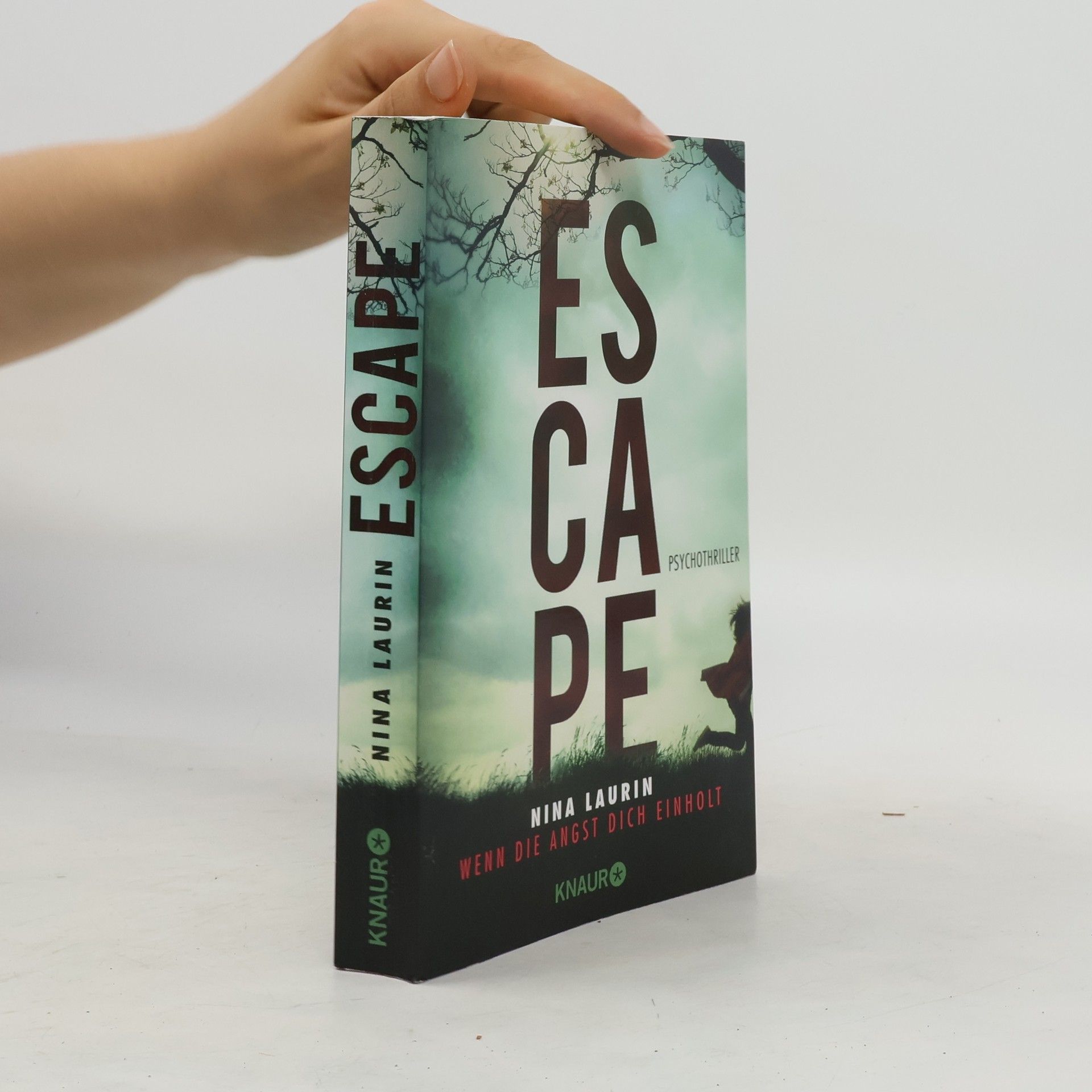 Nina Laurin Escape